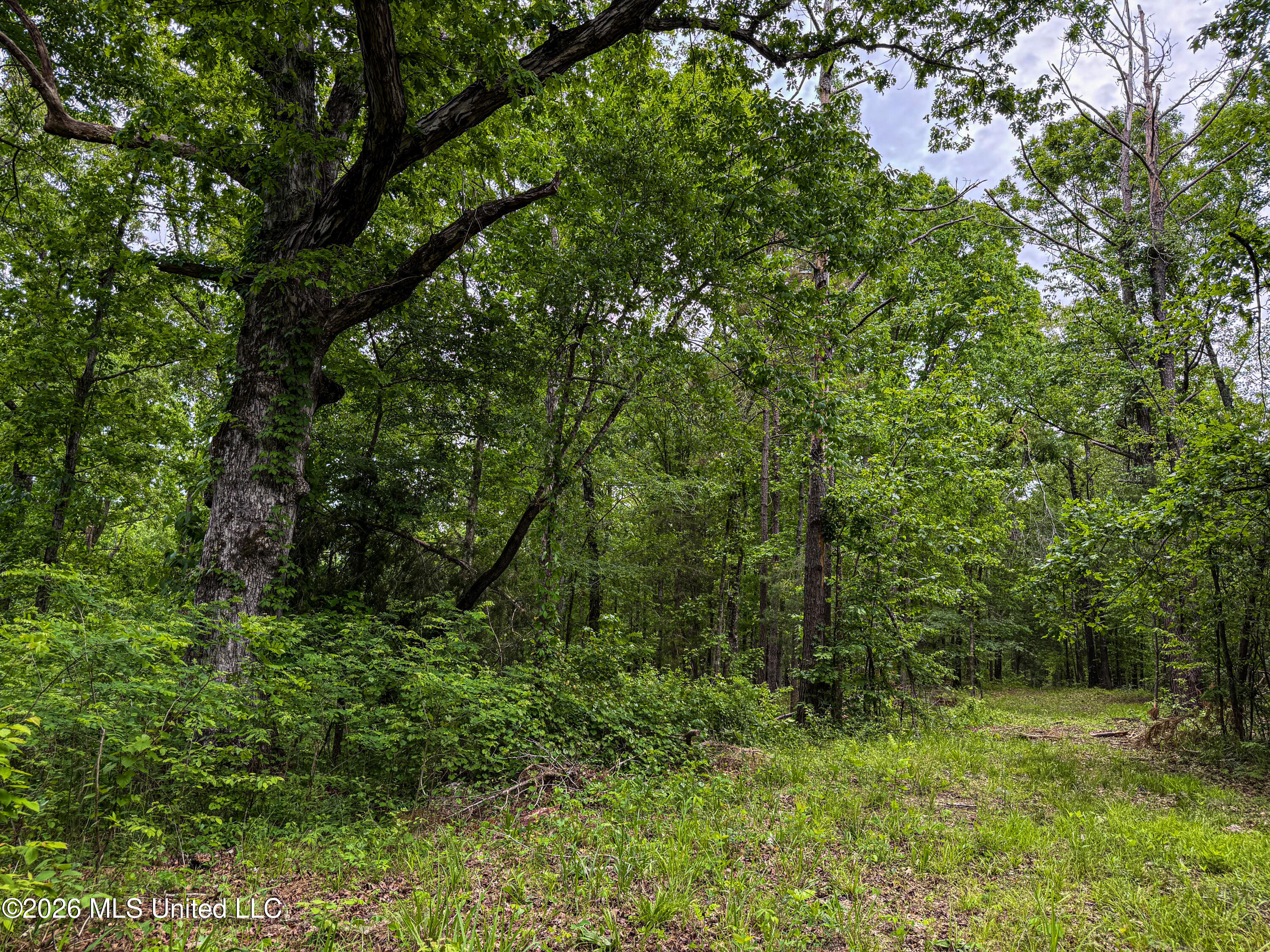 106 Crockrell Road Property Photo 171