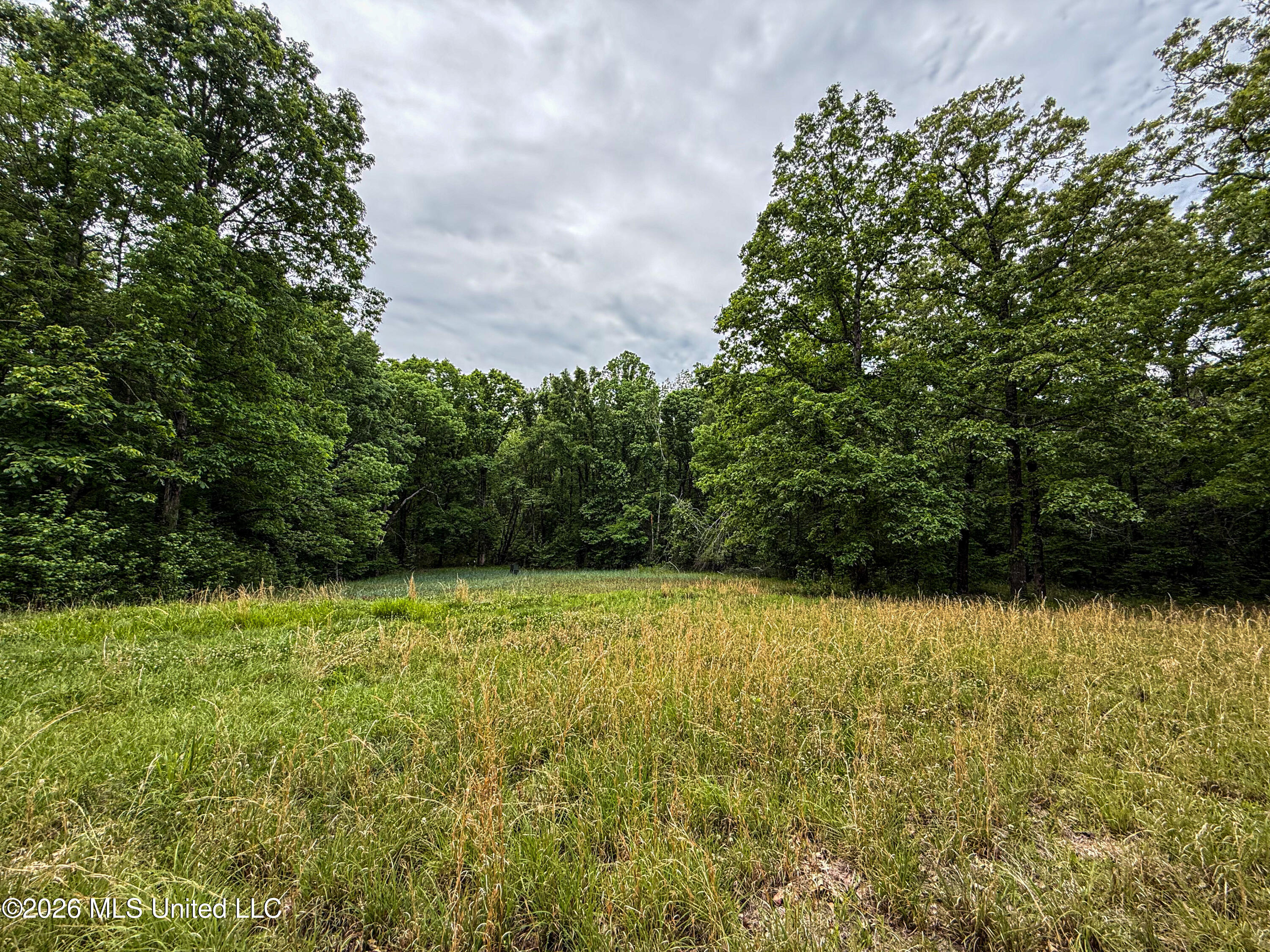 106 Crockrell Road Property Photo 172