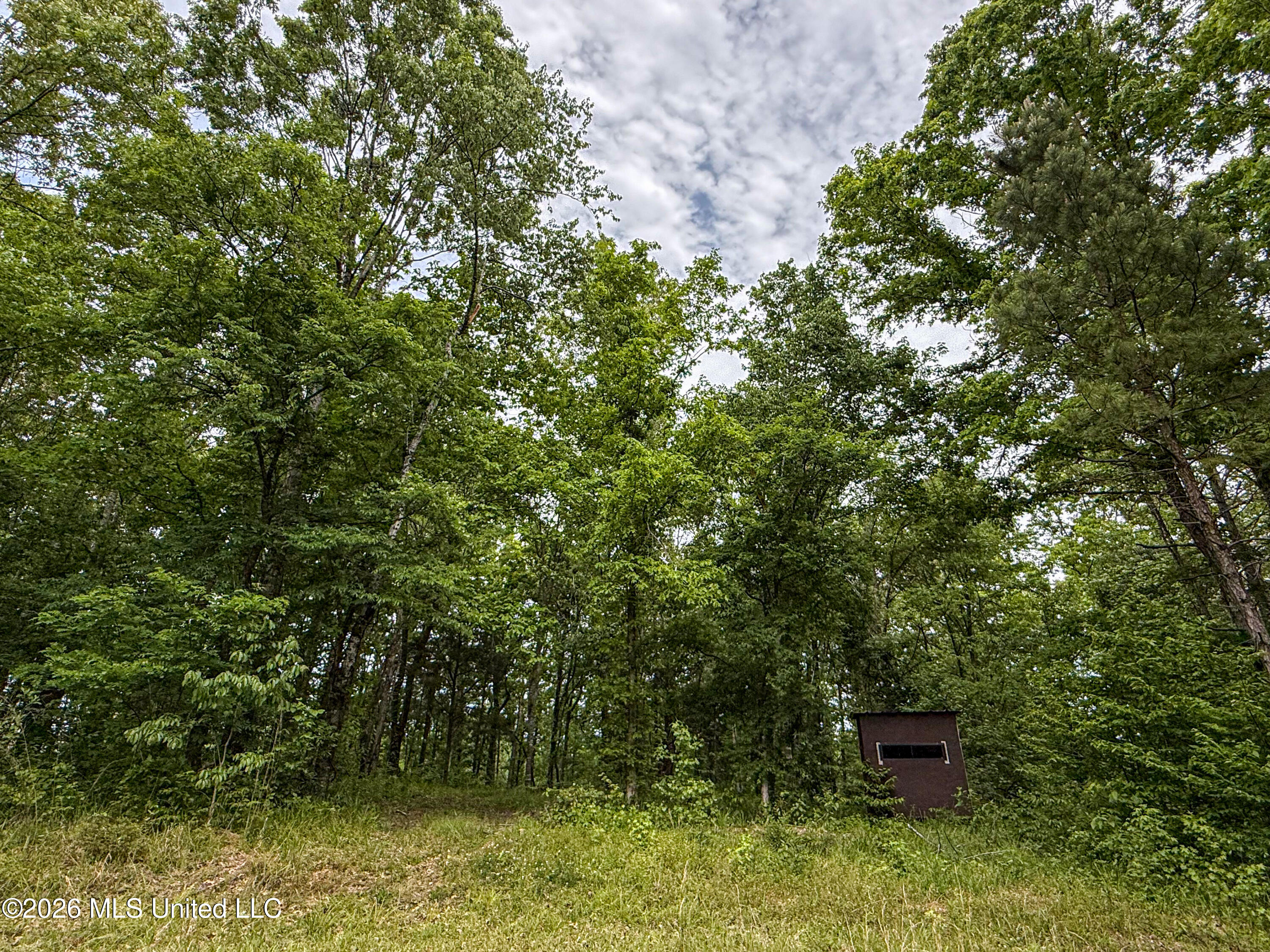 106 Crockrell Road Property Photo 173