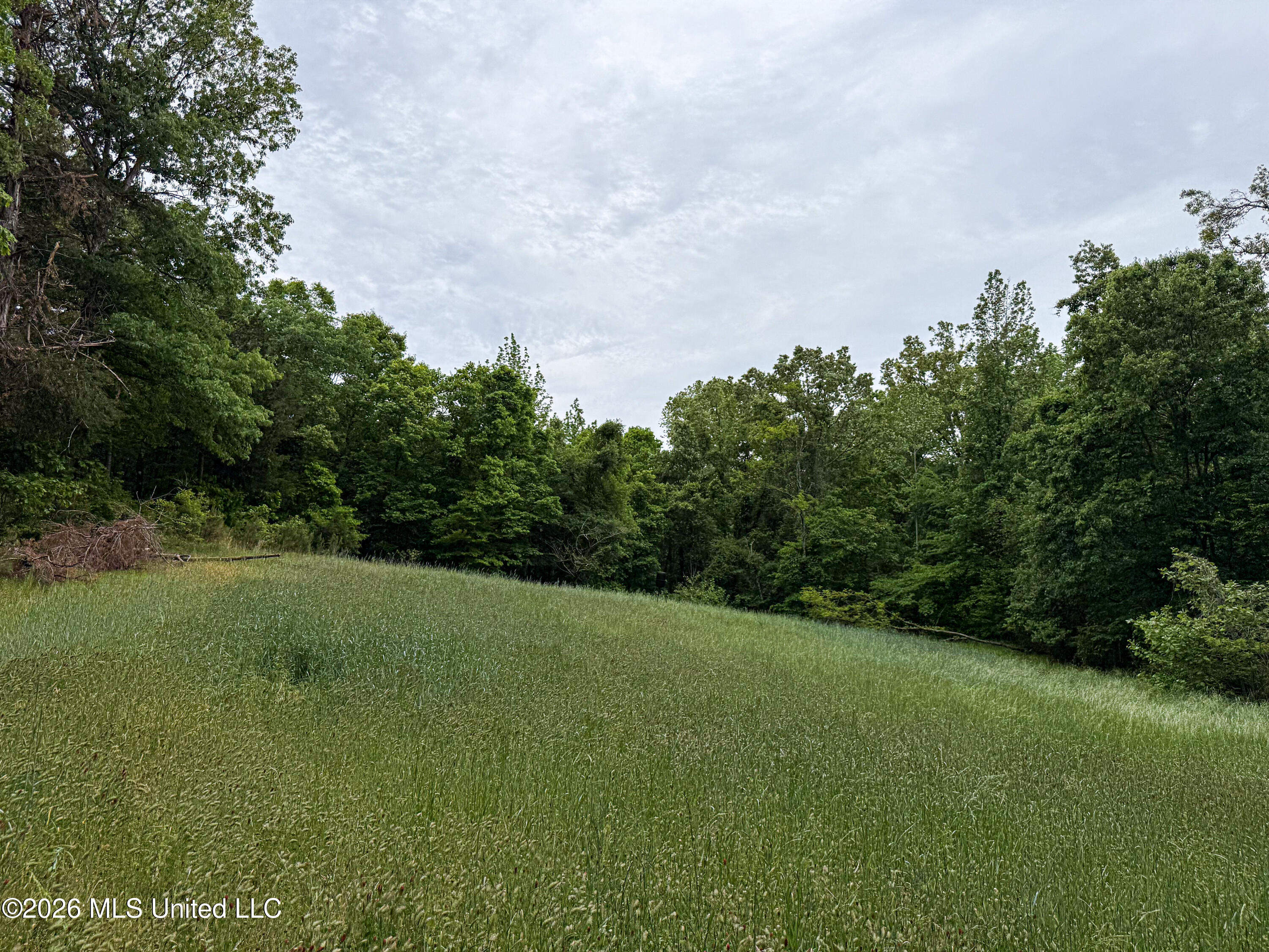 106 Crockrell Road Property Photo 174