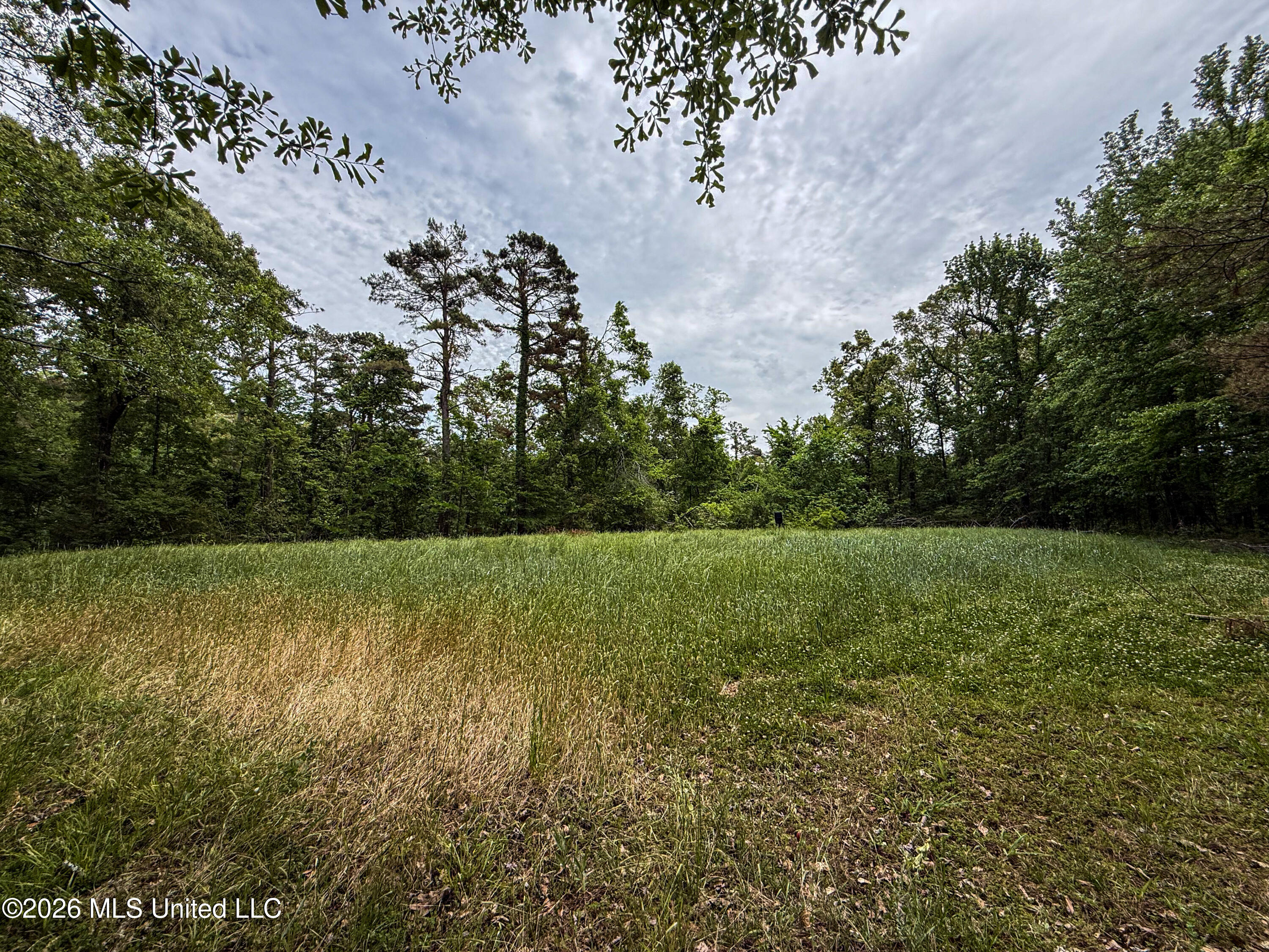 106 Crockrell Road Property Photo 175