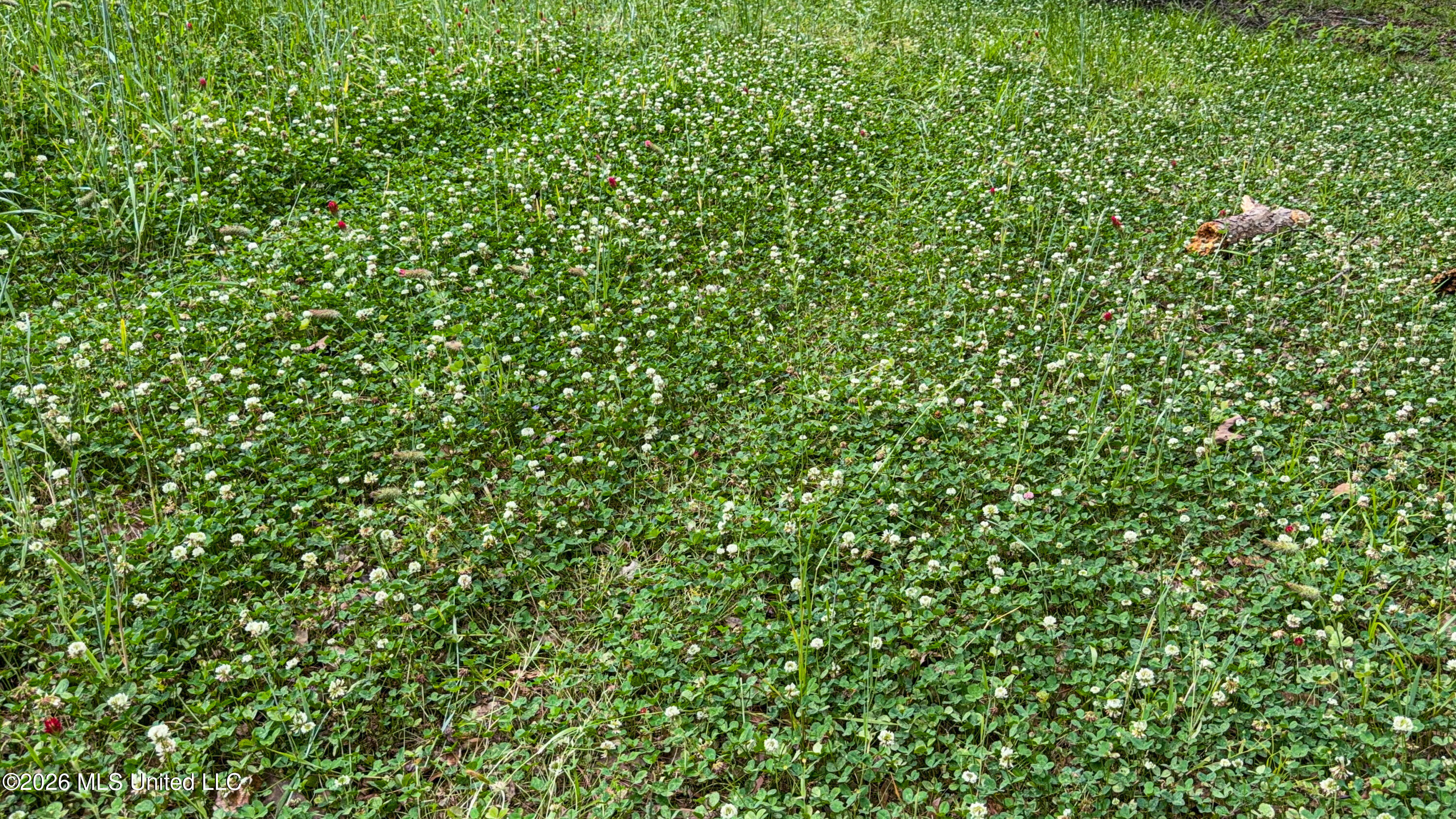 106 Crockrell Road Property Photo 176