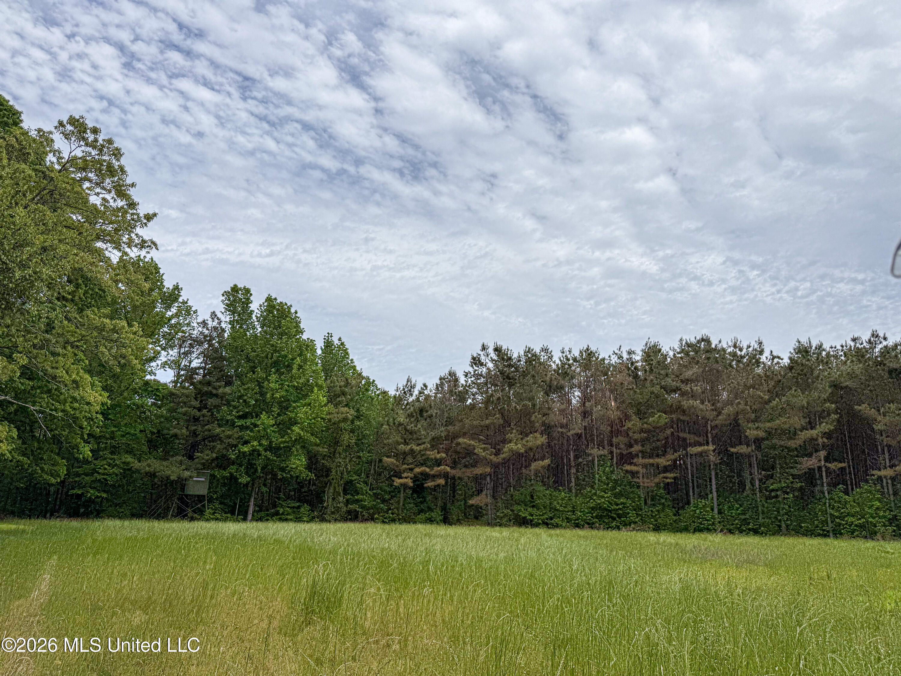 106 Crockrell Road Property Photo 177