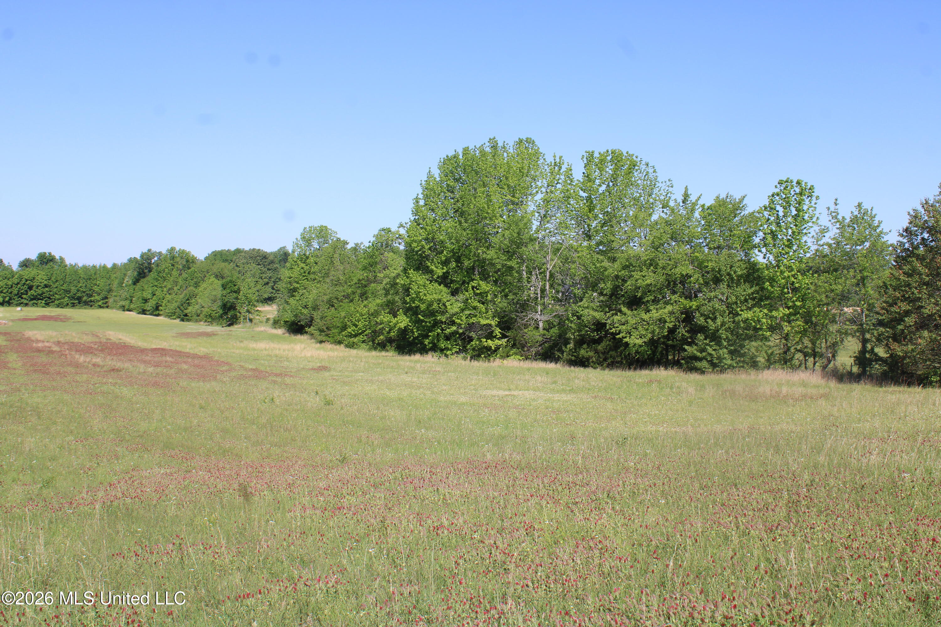 7300 Dean Road Property Photo 4