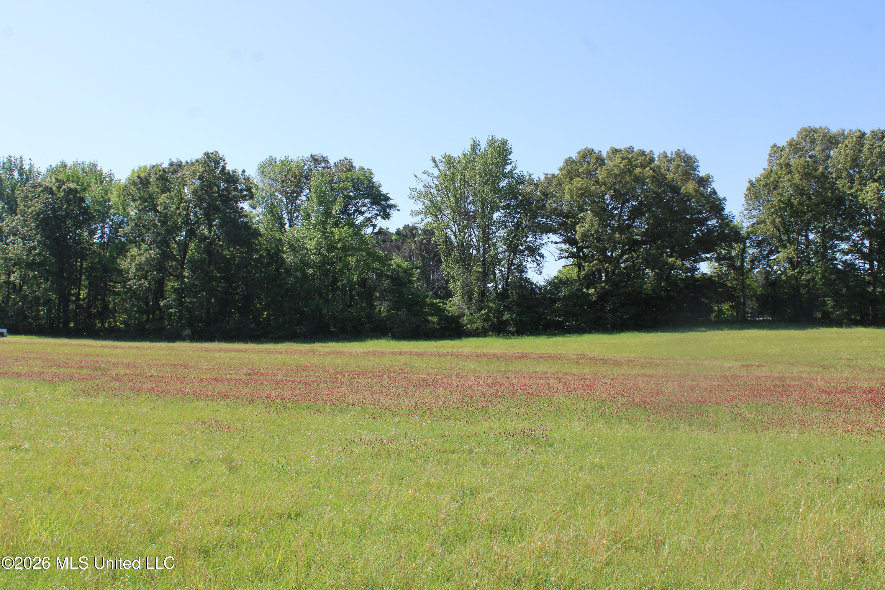 7300 Dean Road Property Photo 7