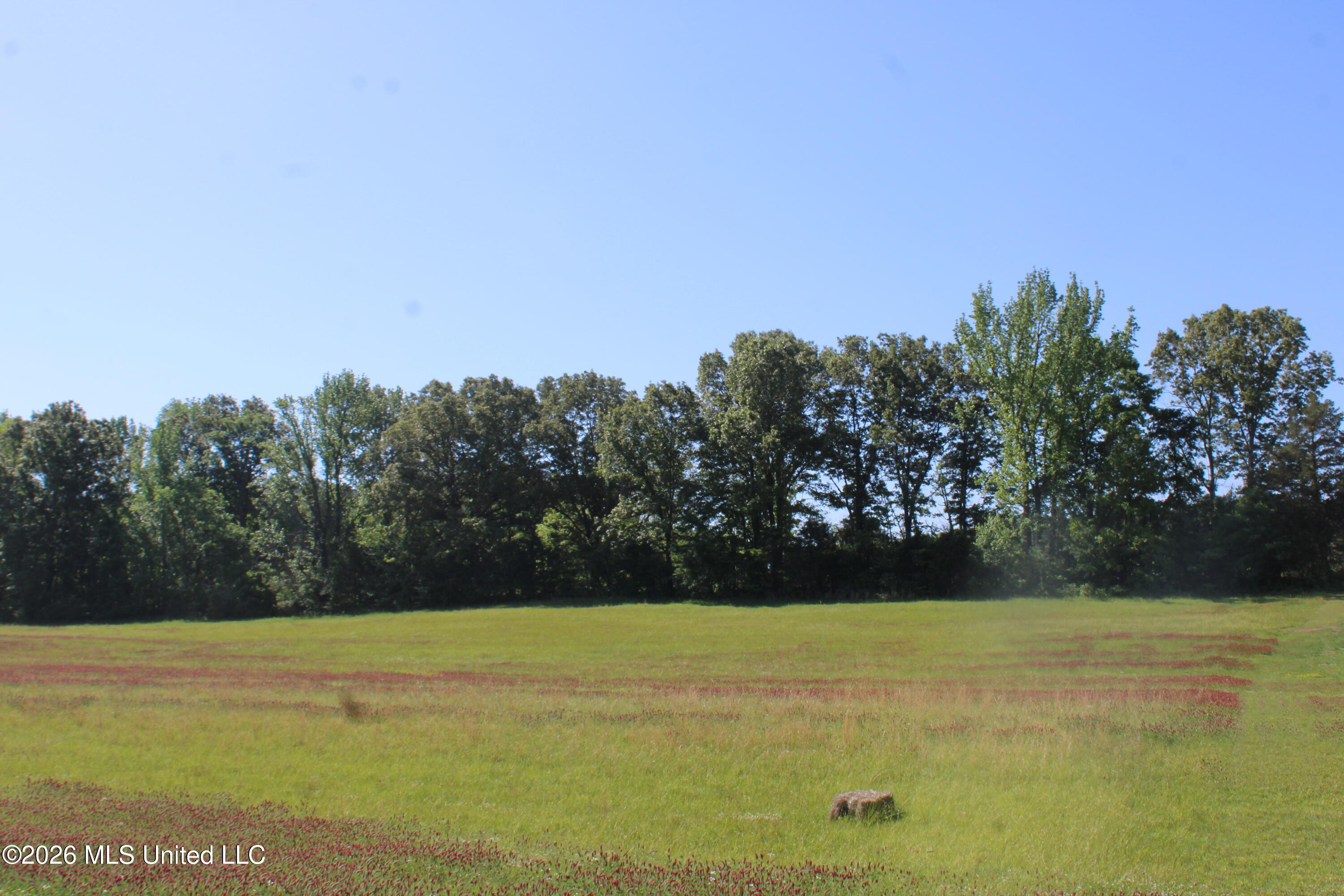 7300 Dean Road Property Photo 9