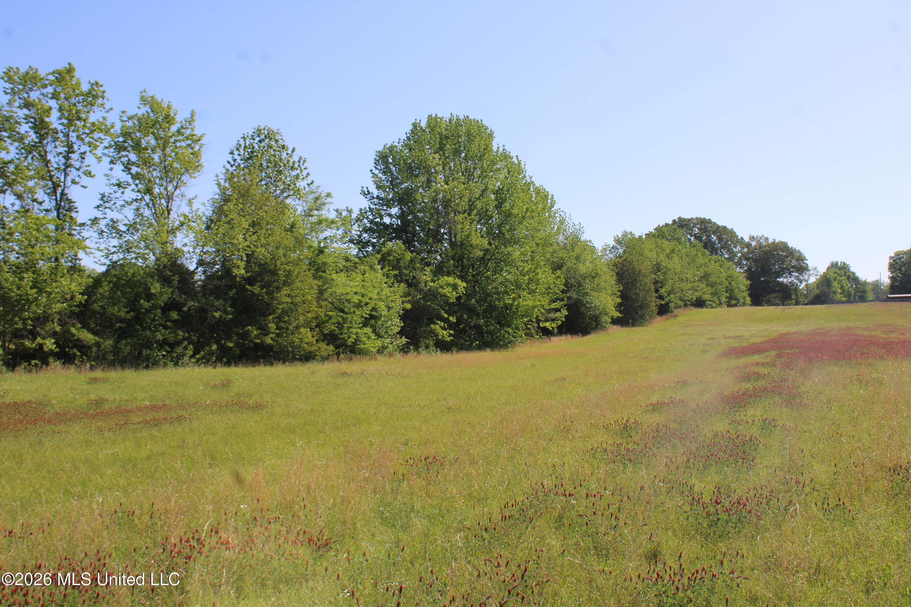 7300 Dean Road Property Photo 10