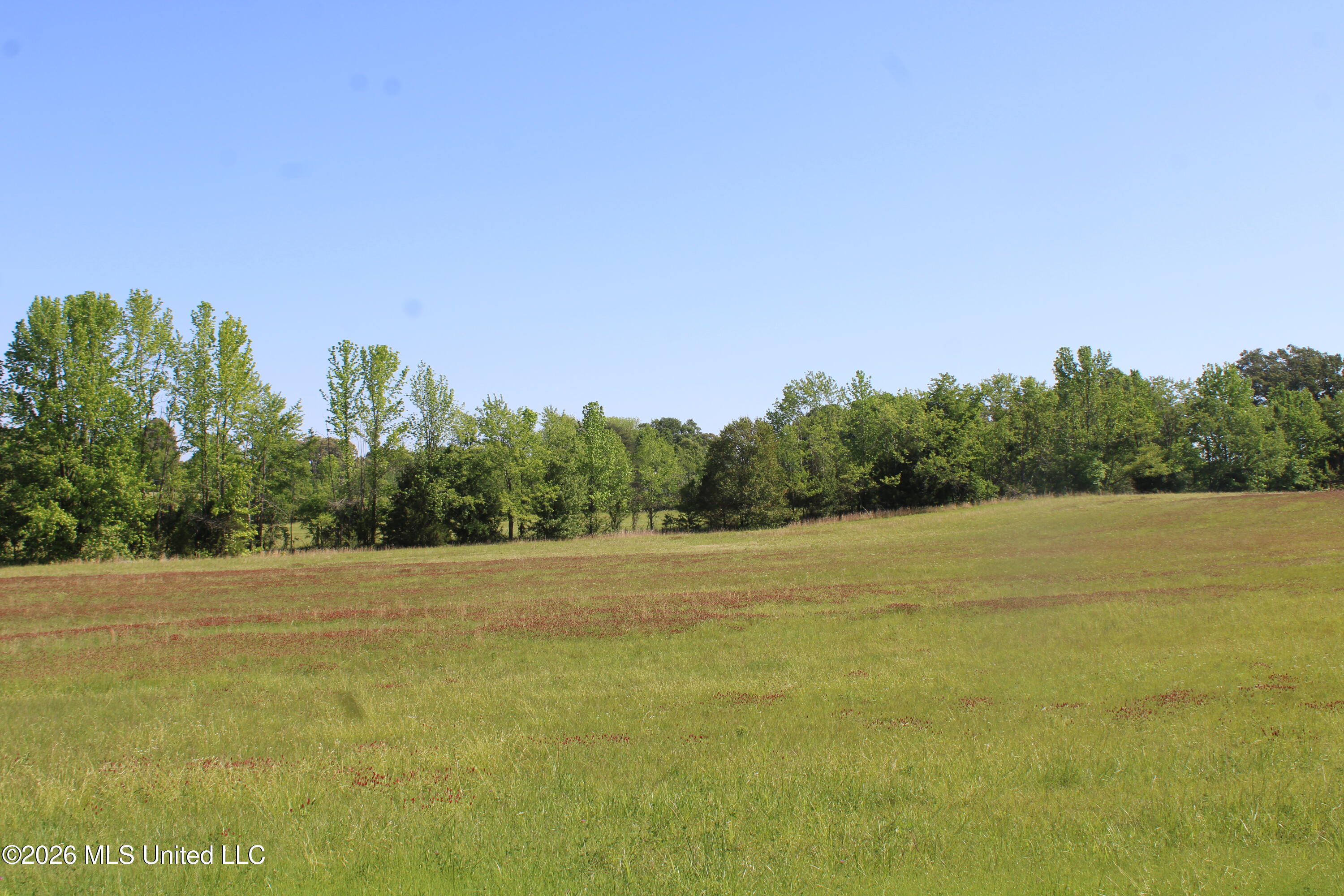 7300 Dean Road Property Photo 15