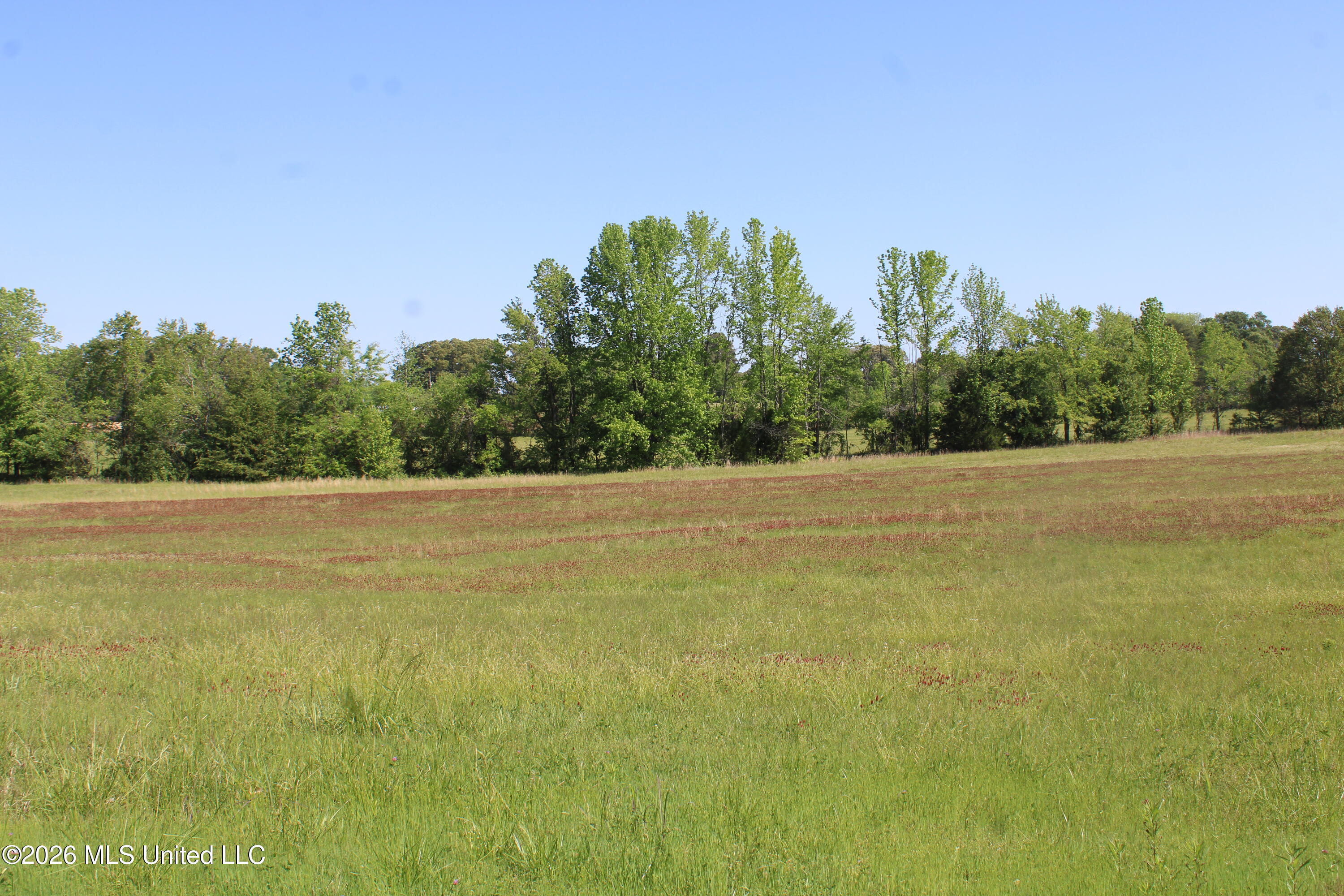 7300 Dean Road Property Photo 16
