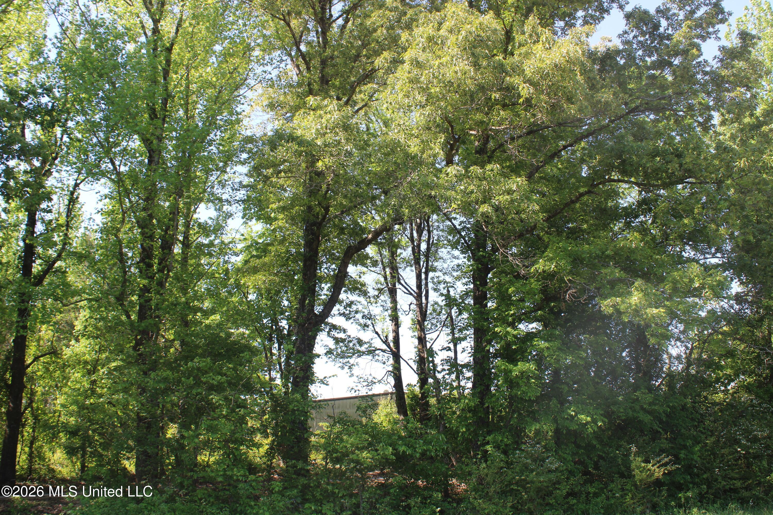 7300 Dean Road Property Photo 19