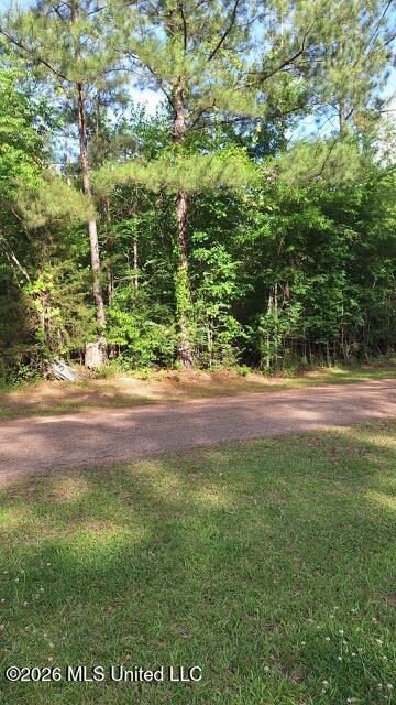000 Smith Lane Property Photo 1