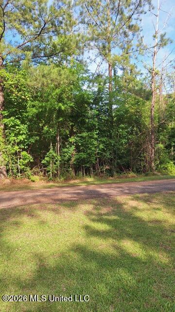 000 Smith Lane Property Photo 2