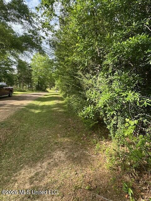 000 Smith Lane Property Photo 4