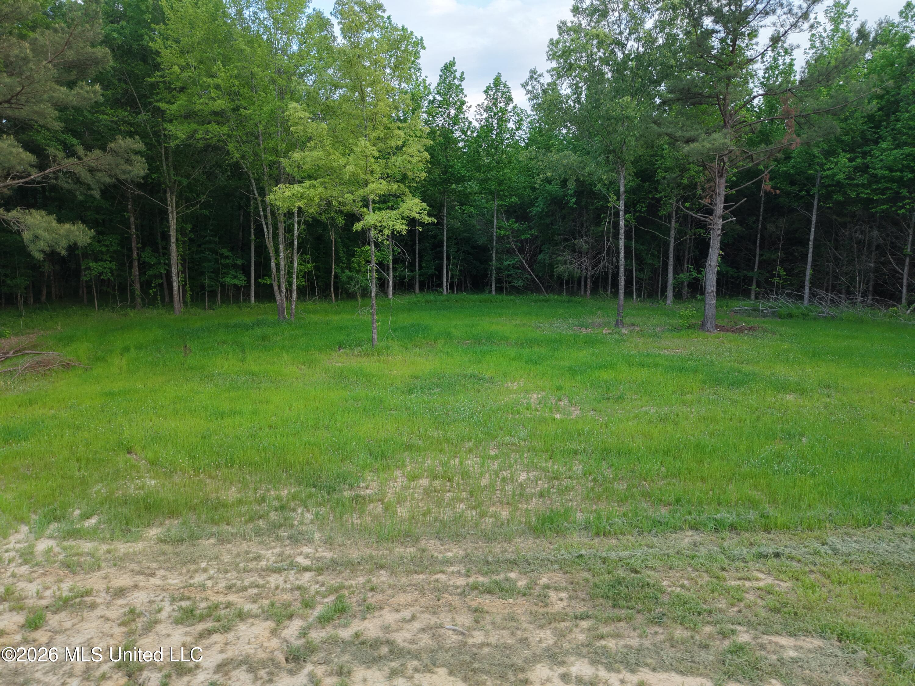 183 Central Boulevard Property Photo 13
