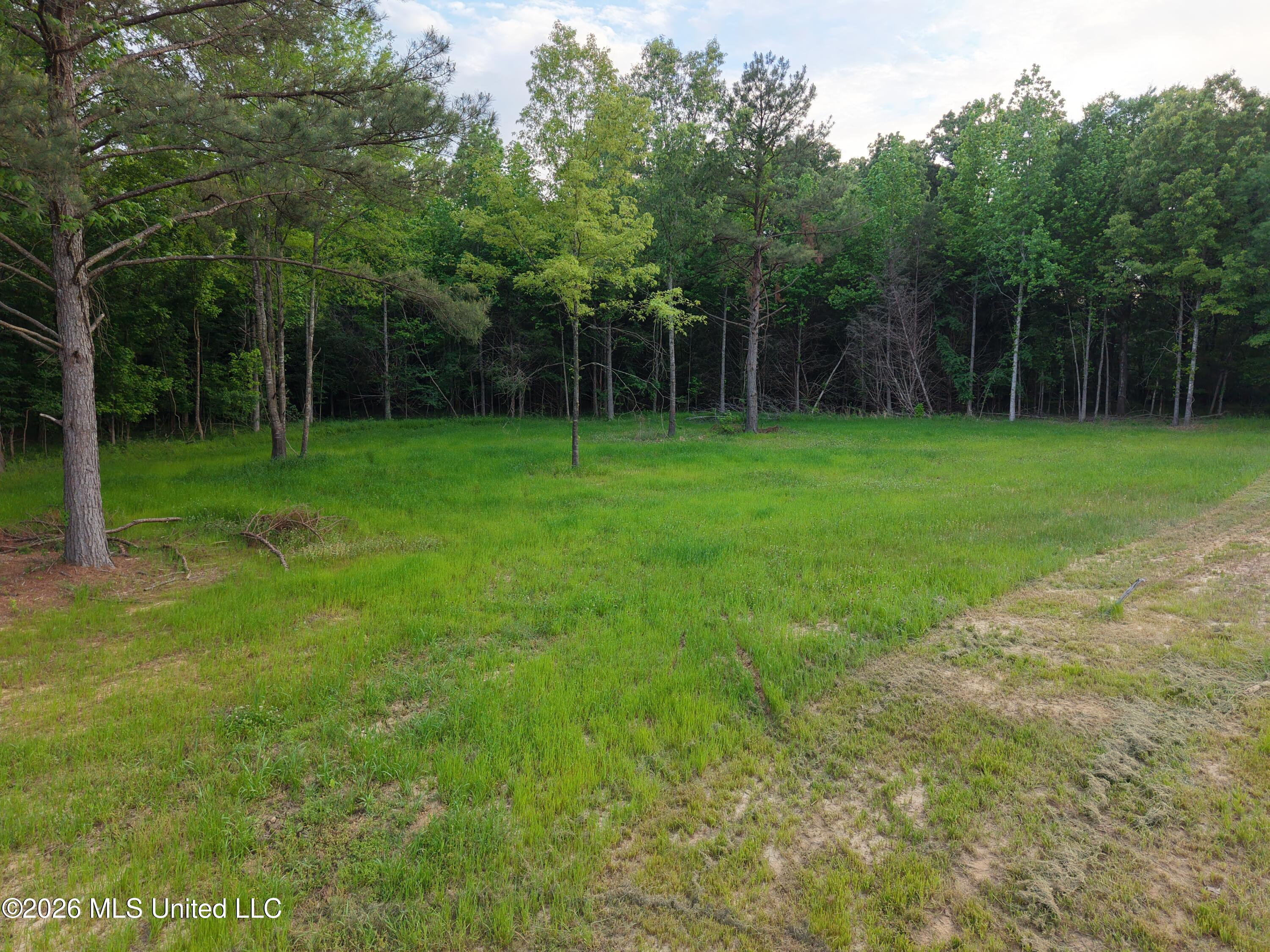 183 Central Boulevard Property Photo 16
