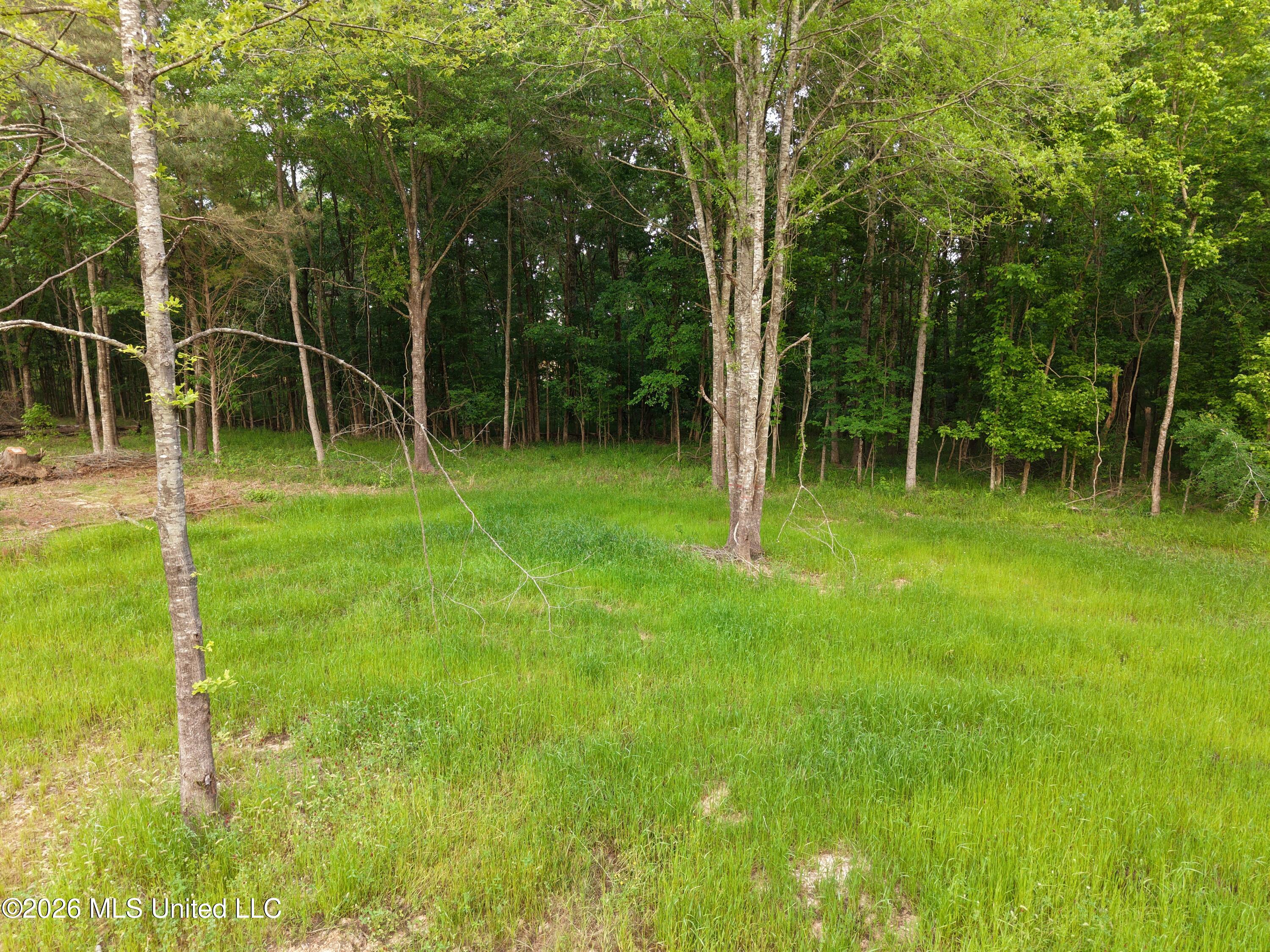 183 Central Boulevard Property Photo 17