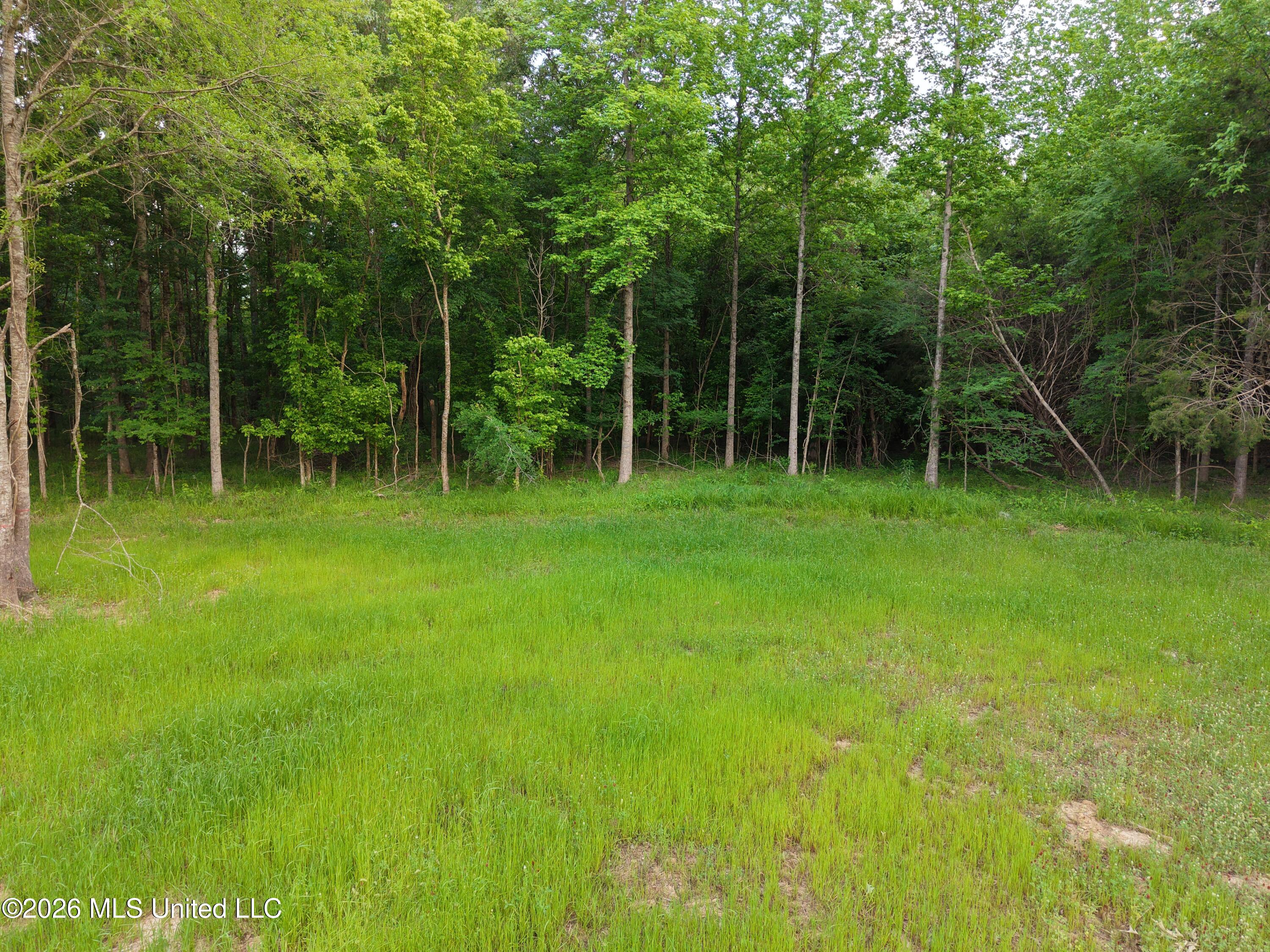 183 Central Boulevard Property Photo 18