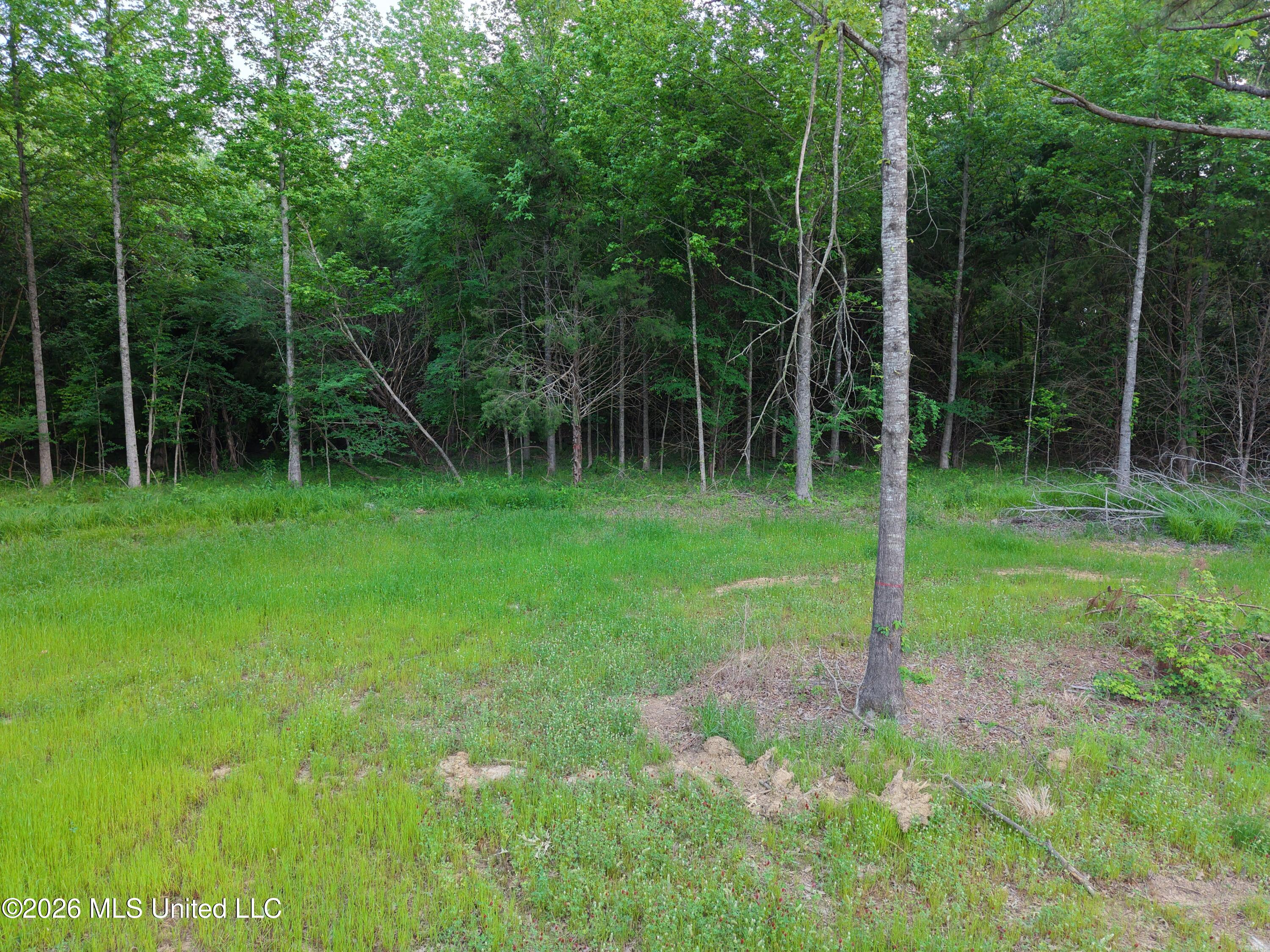 183 Central Boulevard Property Photo 19