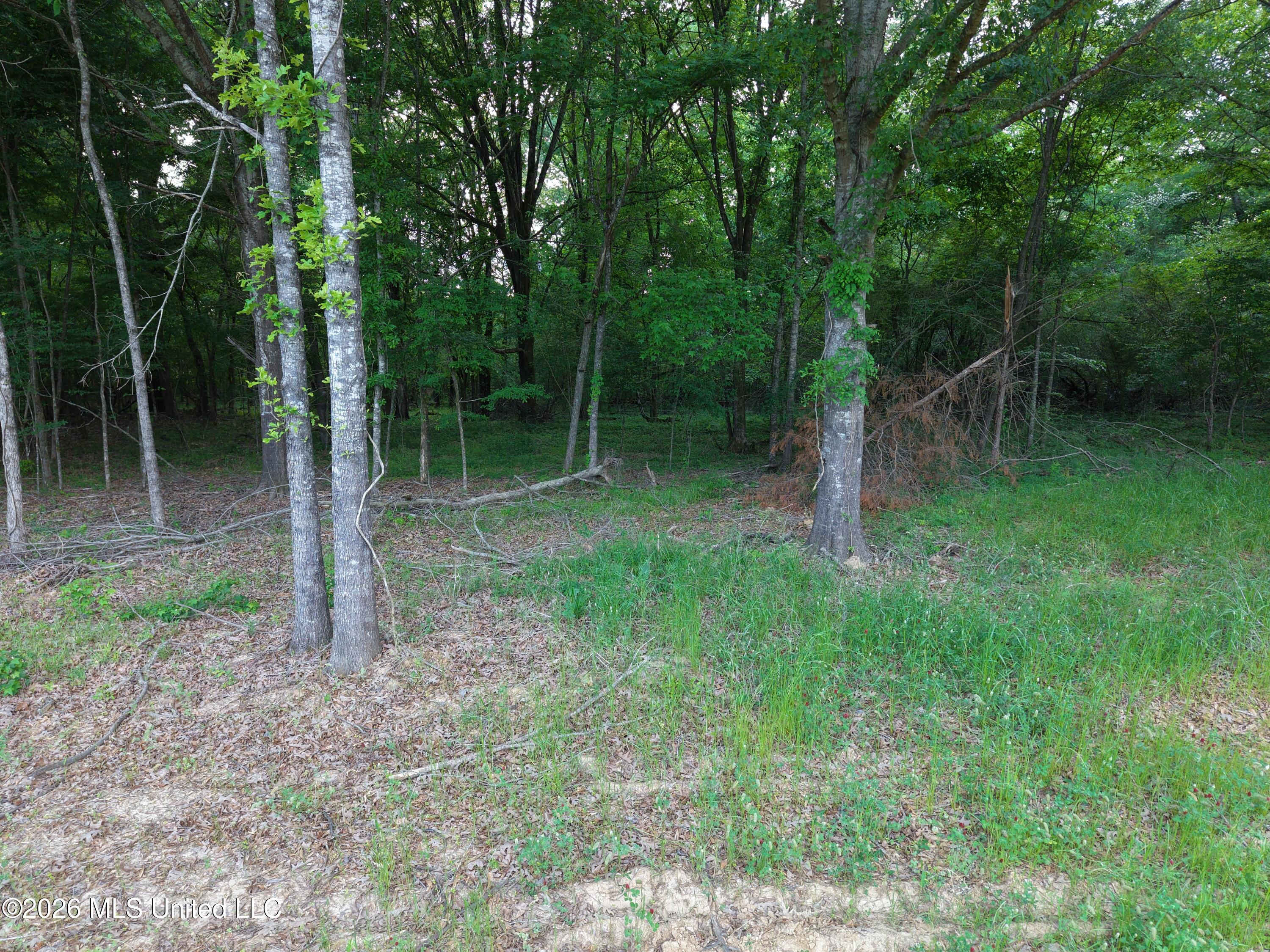 183 Central Boulevard Property Photo 20