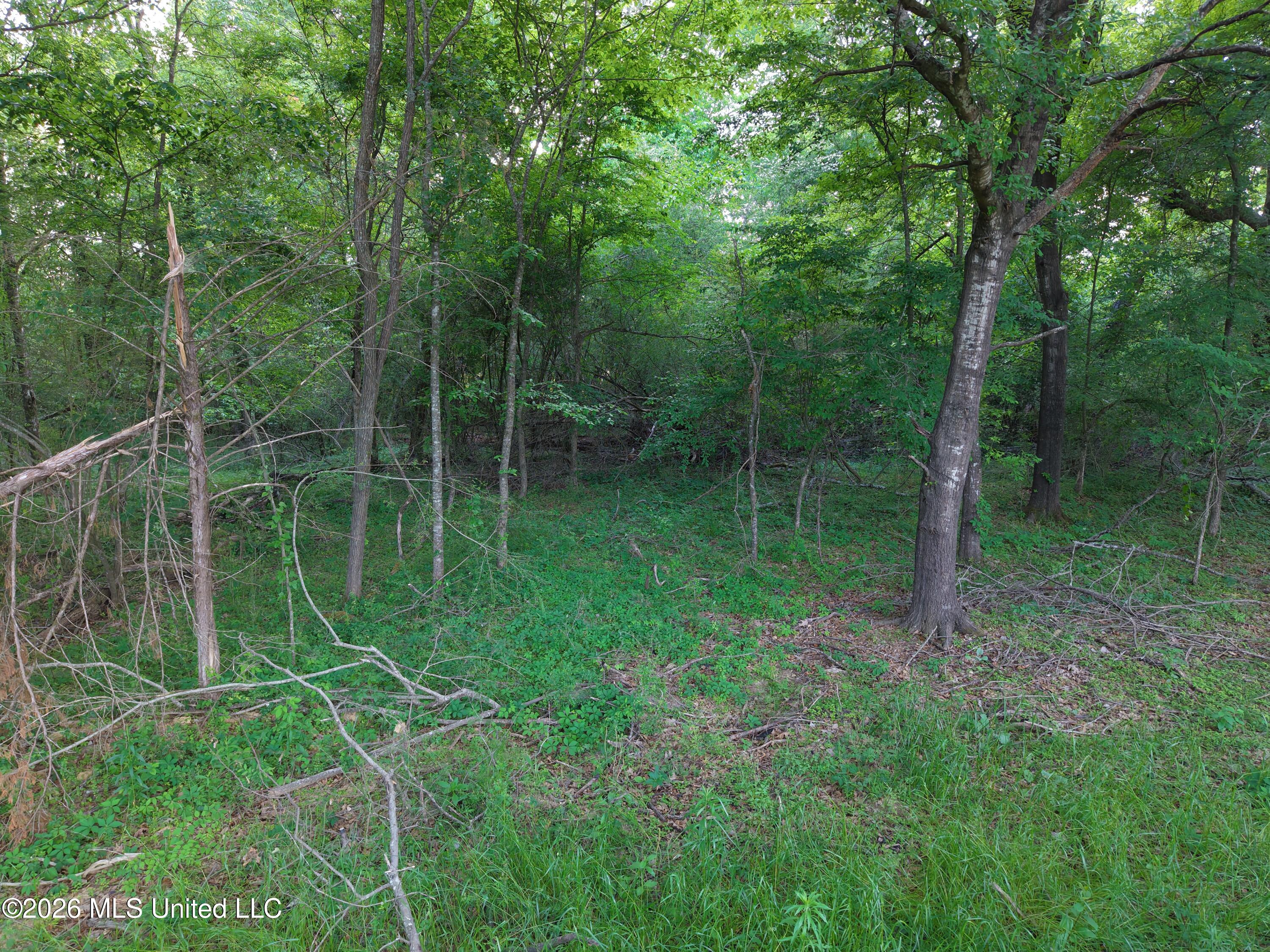 183 Central Boulevard Property Photo 21