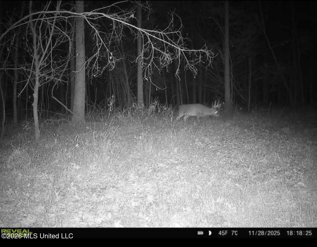 183 Central Boulevard Property Photo 26