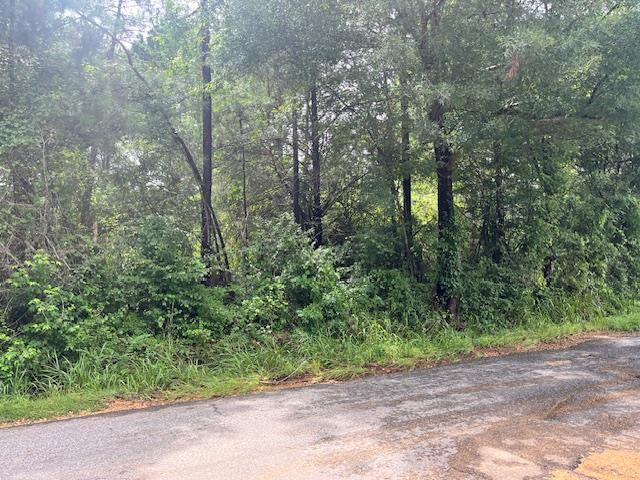 Cole Drive Se Property Photo 1