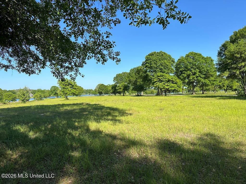 N New Arbor Road Property Photo 1