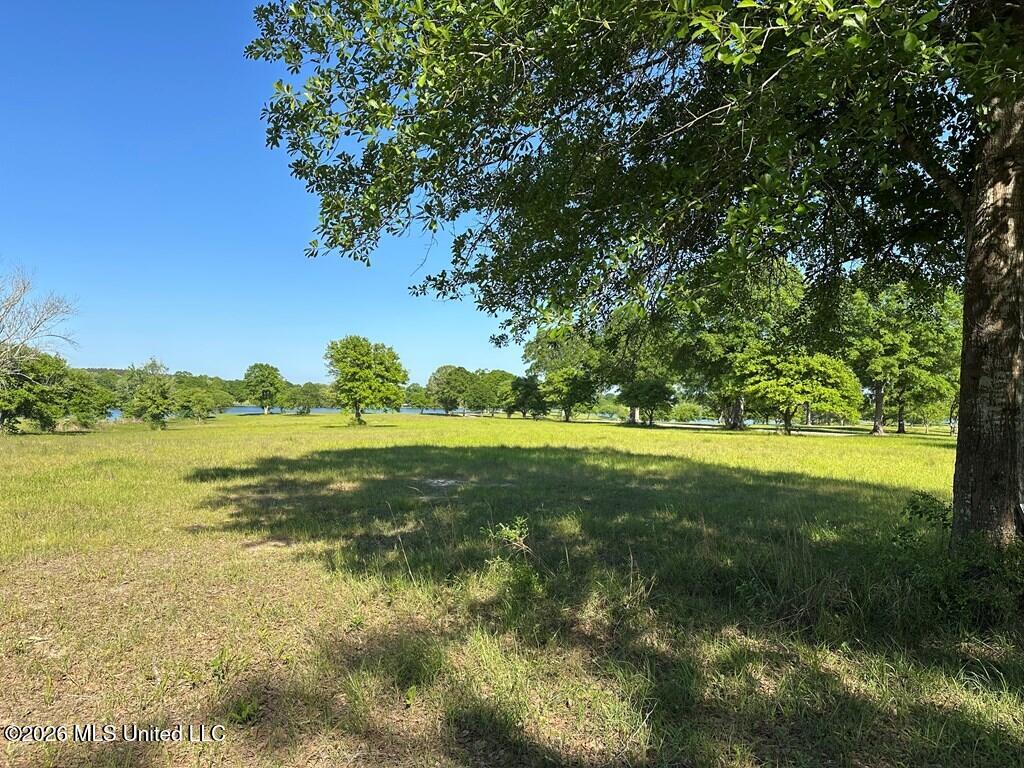 N New Arbor Road Property Photo 3