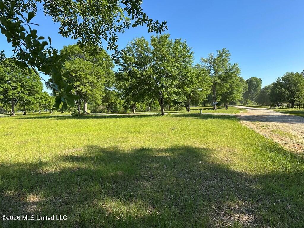 N New Arbor Road Property Photo 4