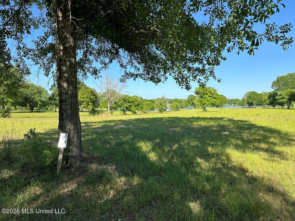 N New Arbor Road Property Photo 5