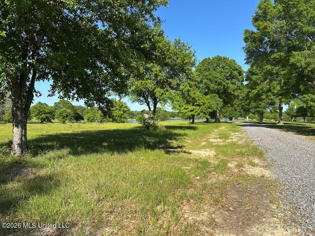 N New Arbor Road Property Photo 6