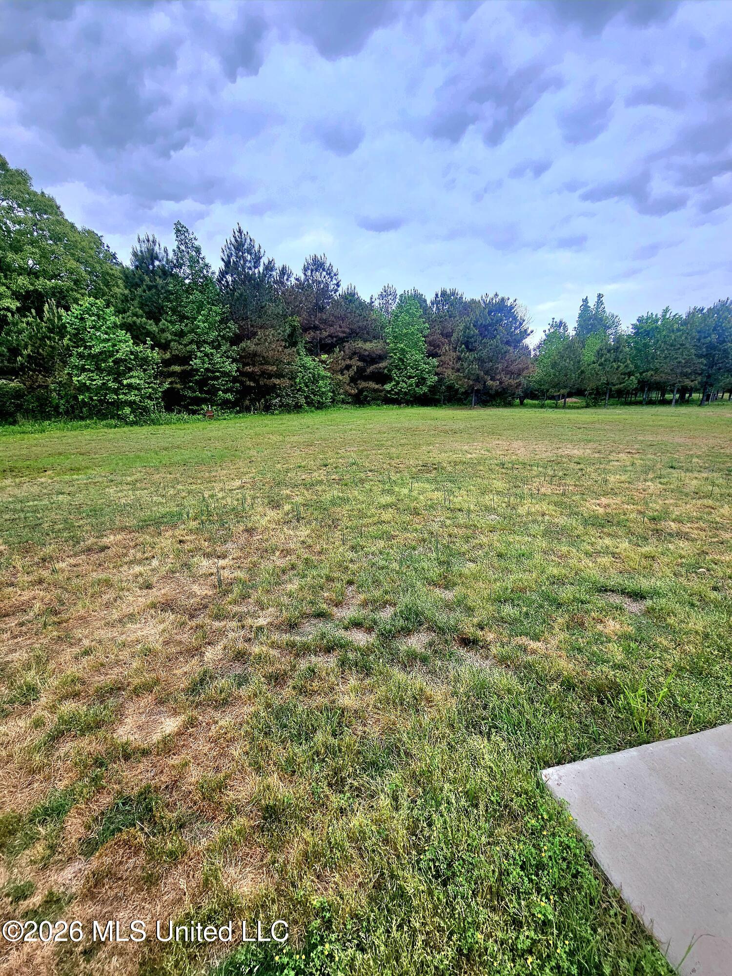 124 Deerfield Trace Property Photo 18