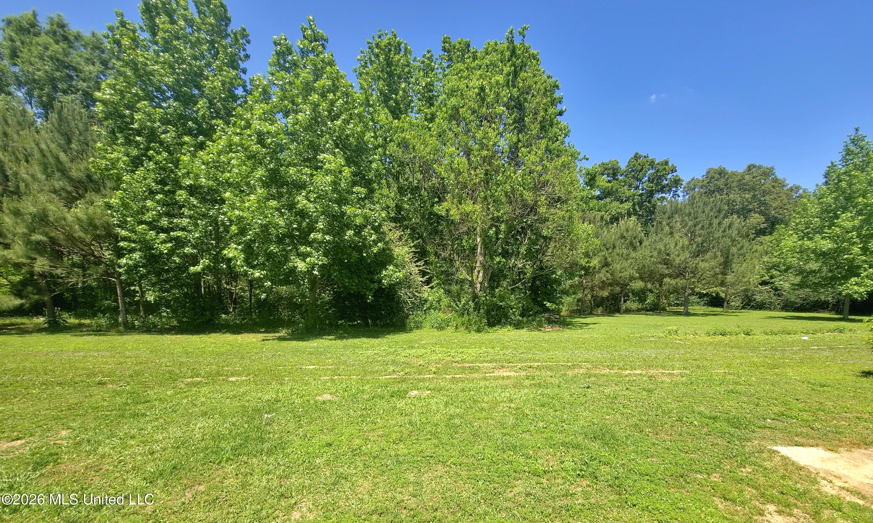 131 Campbell Road Property Photo 14