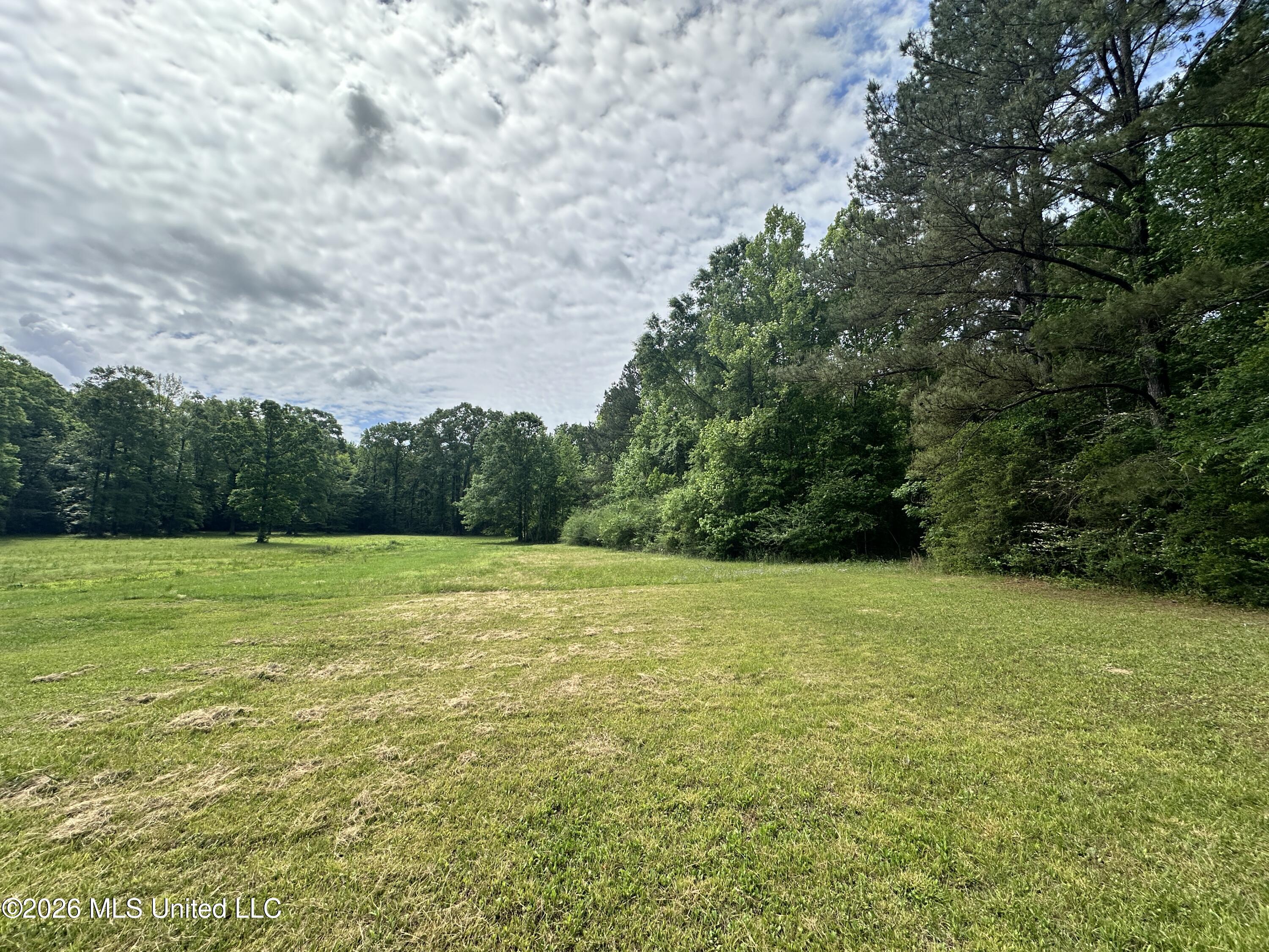 Mccomb Holmesville Road Property Photo 1