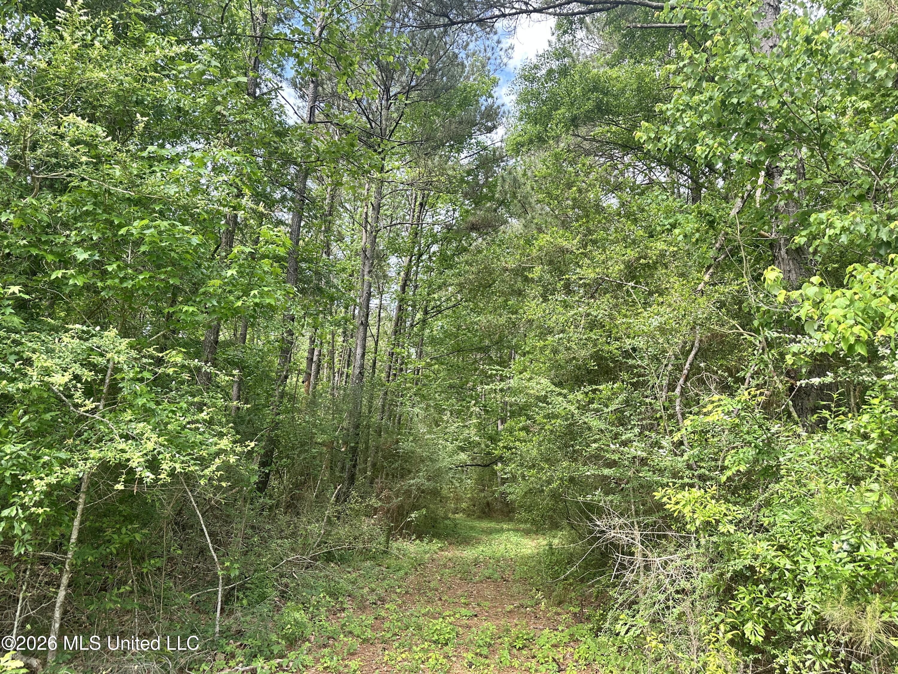 Mccomb Holmesville Road Property Photo 2