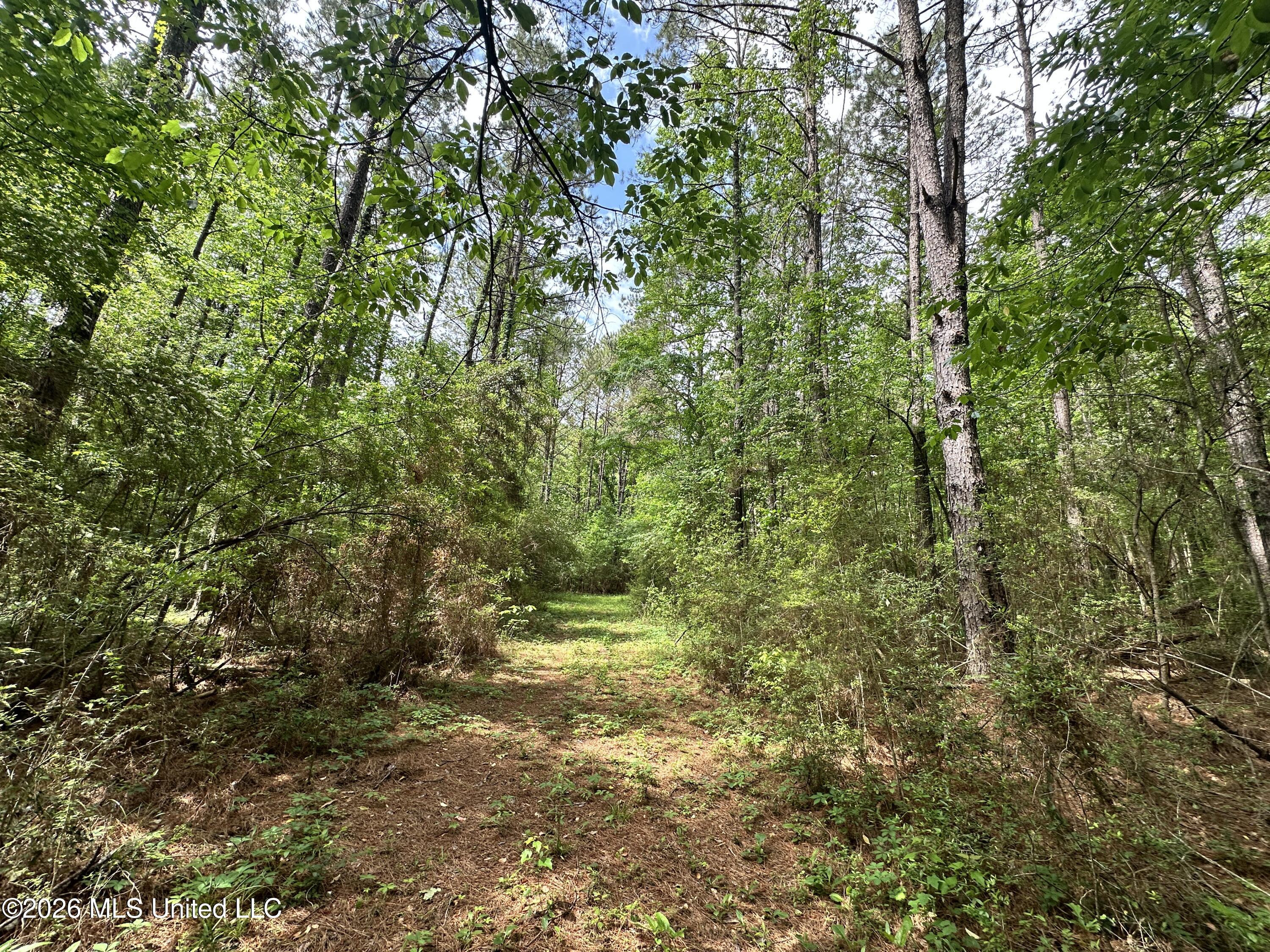 Mccomb Holmesville Road Property Photo 3