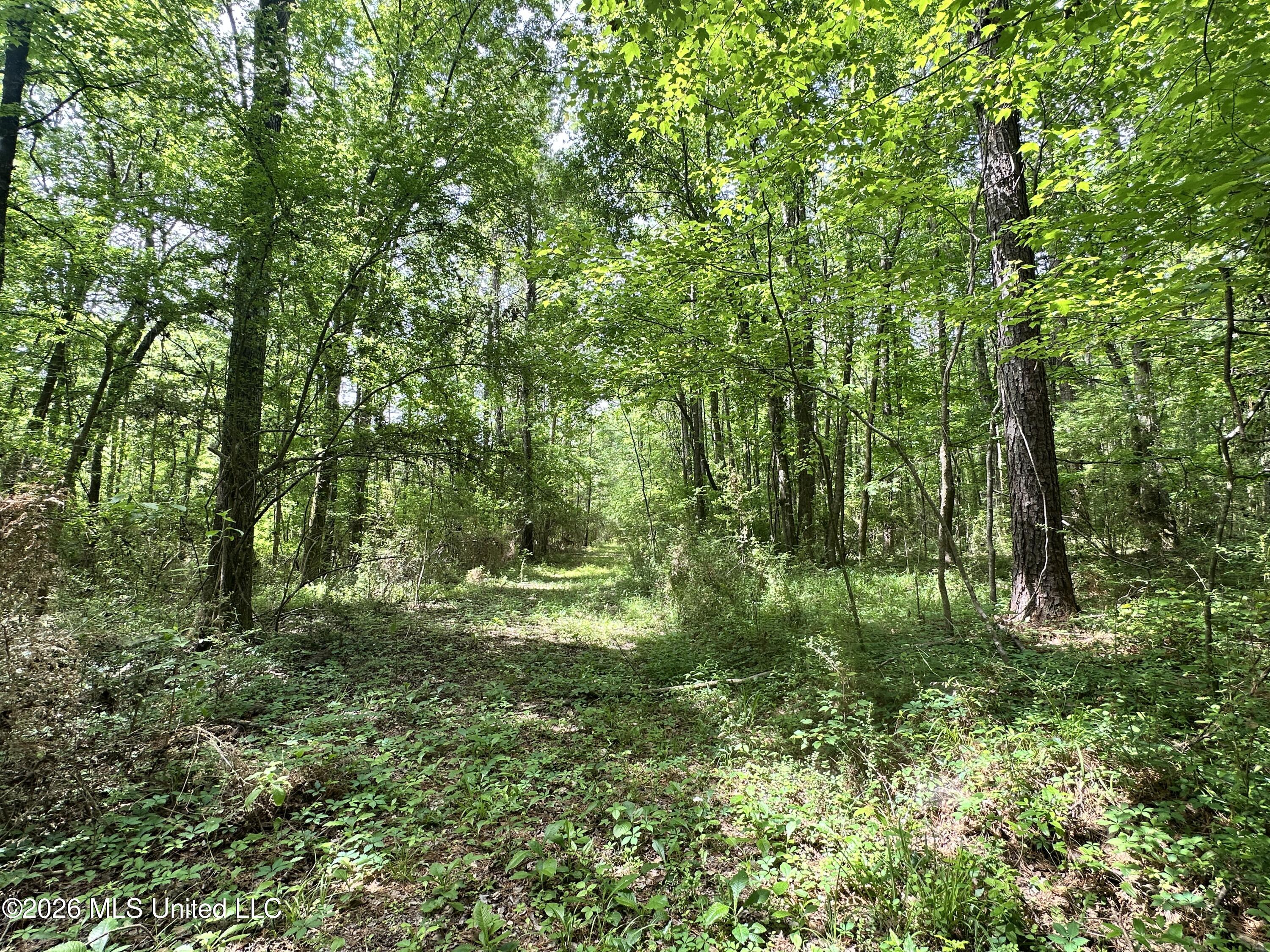 Mccomb Holmesville Road Property Photo 4