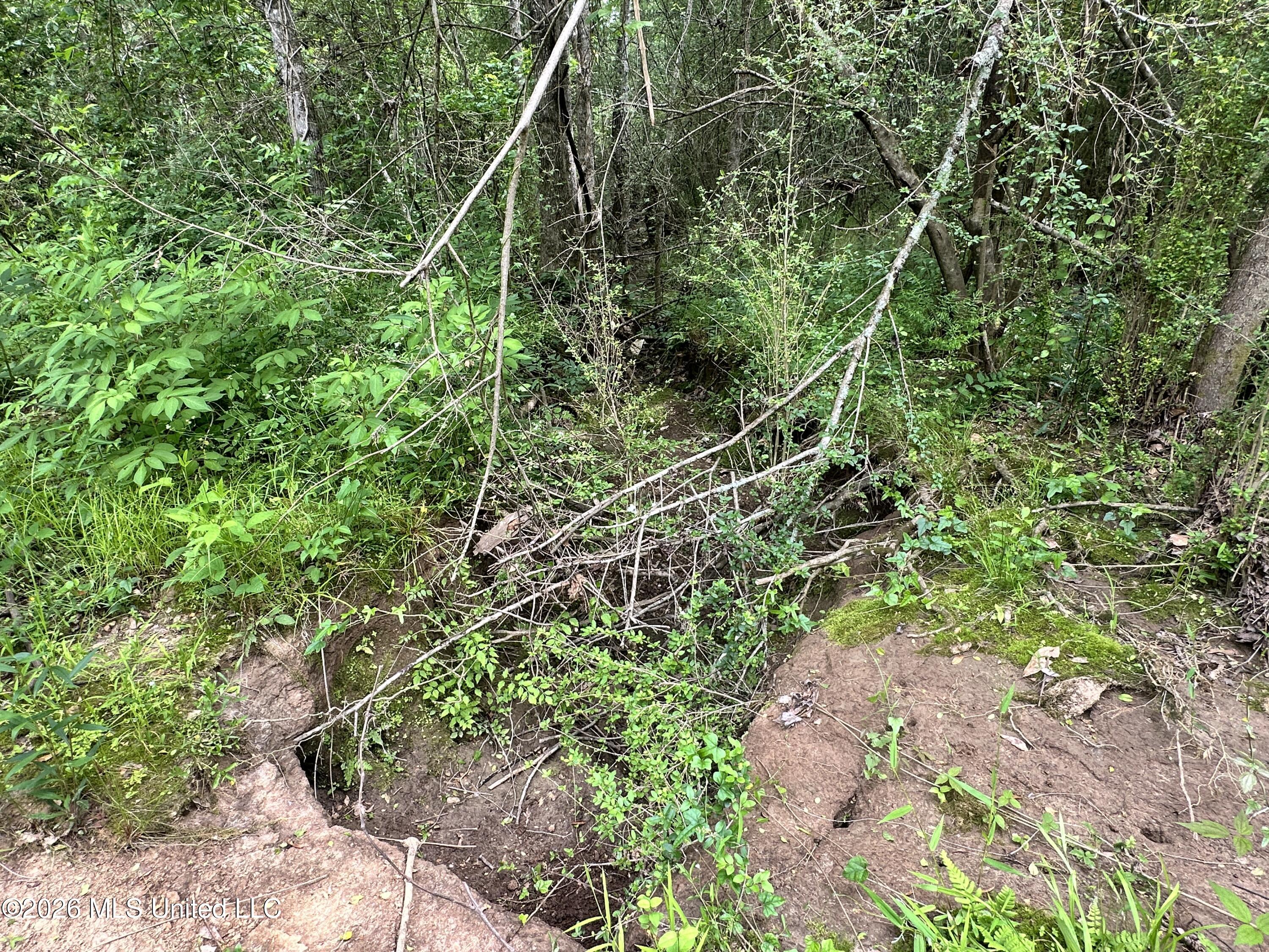 Mccomb Holmesville Road Property Photo 6