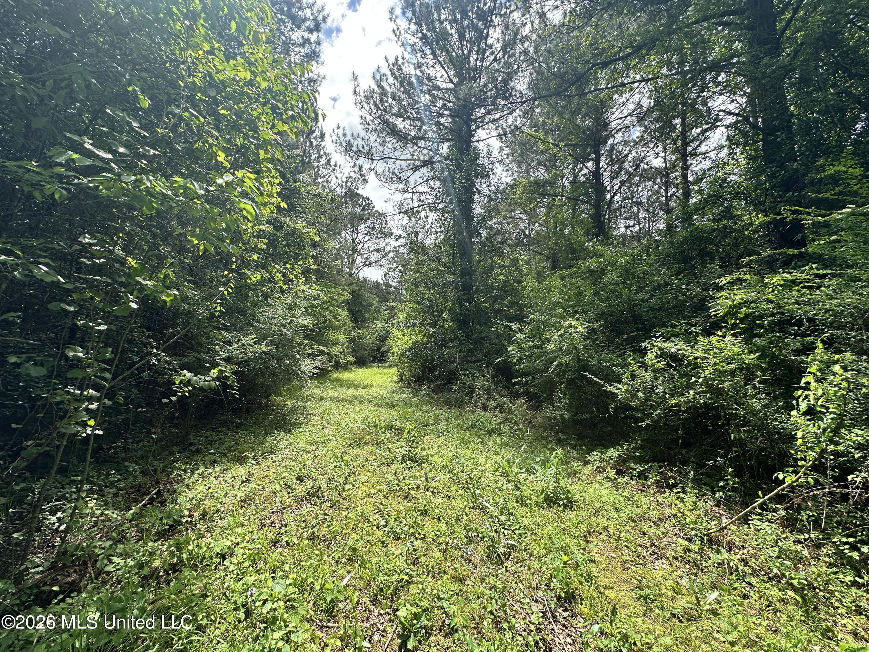 Mccomb Holmesville Road Property Photo 12