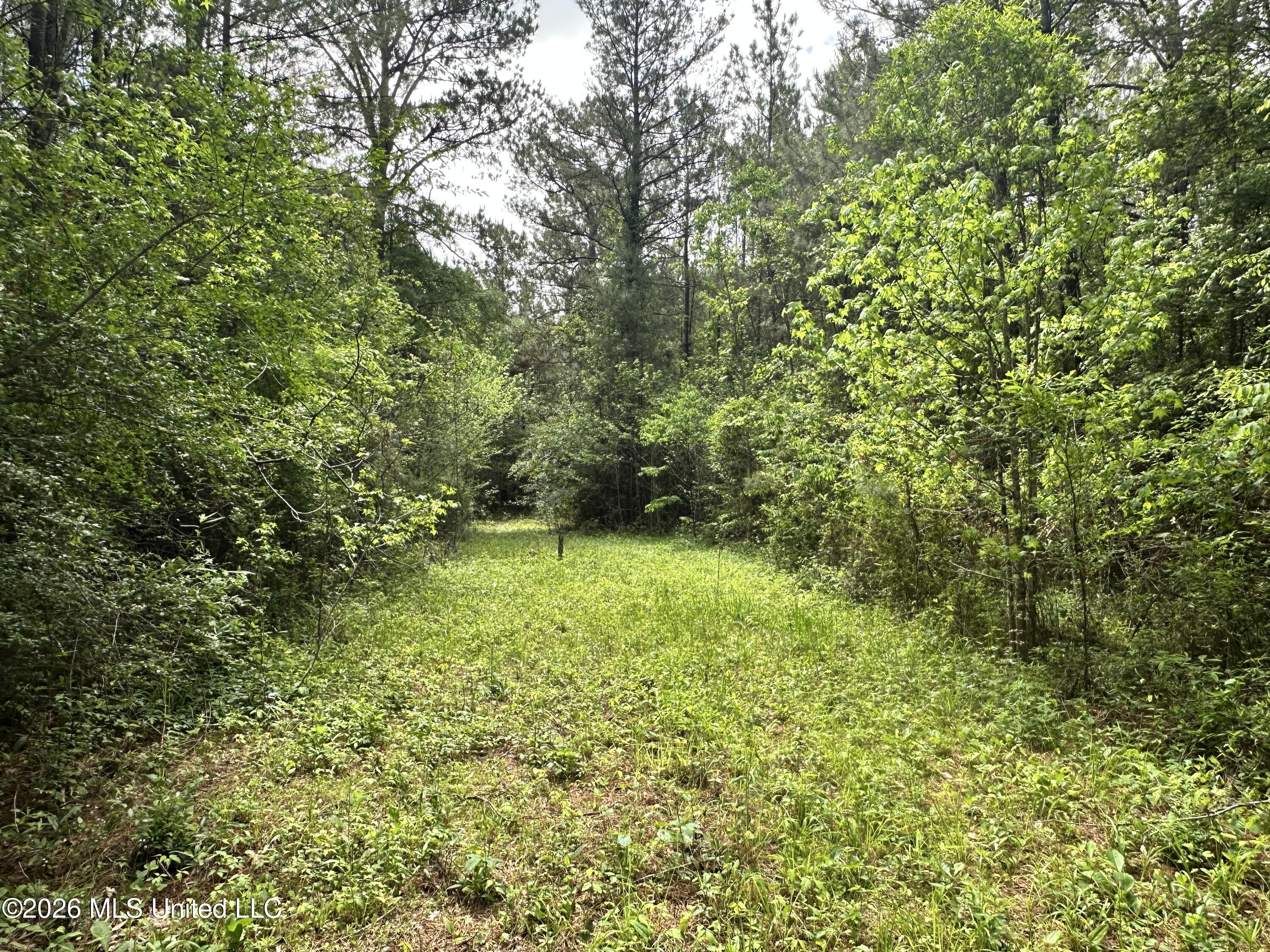 Mccomb Holmesville Road Property Photo 14
