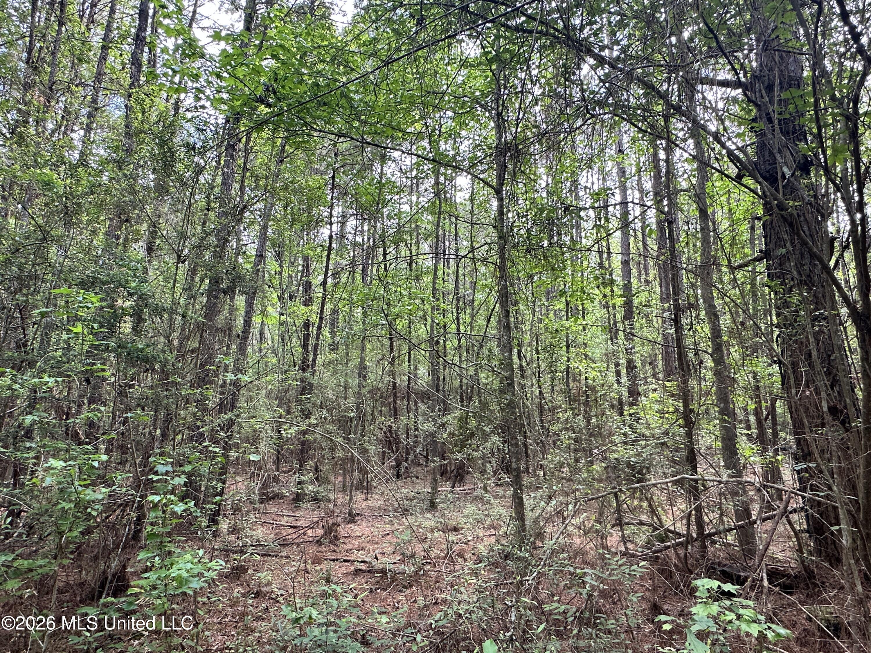 Mccomb Holmesville Road Property Photo 17