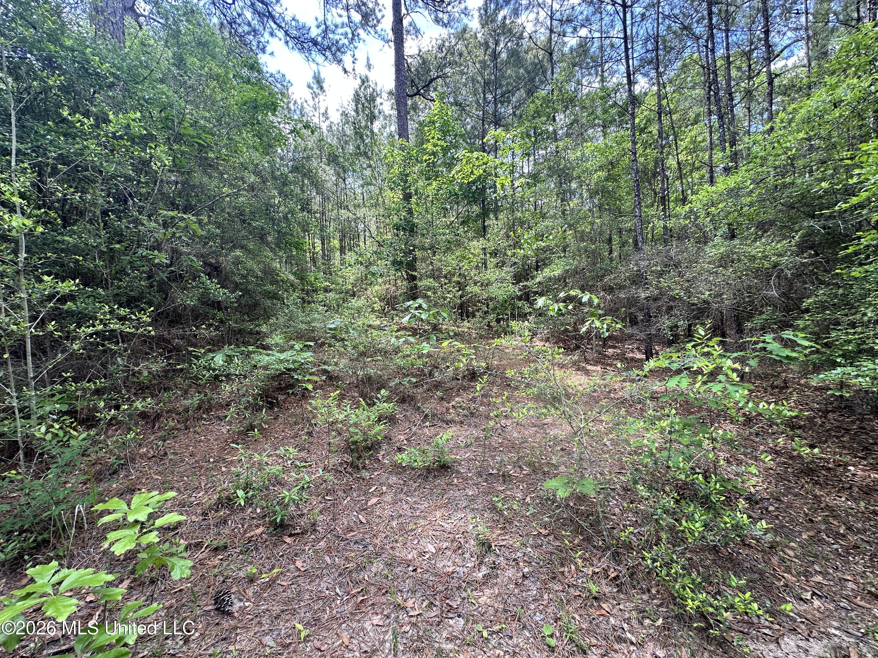 Mccomb Holmesville Road Property Photo 18