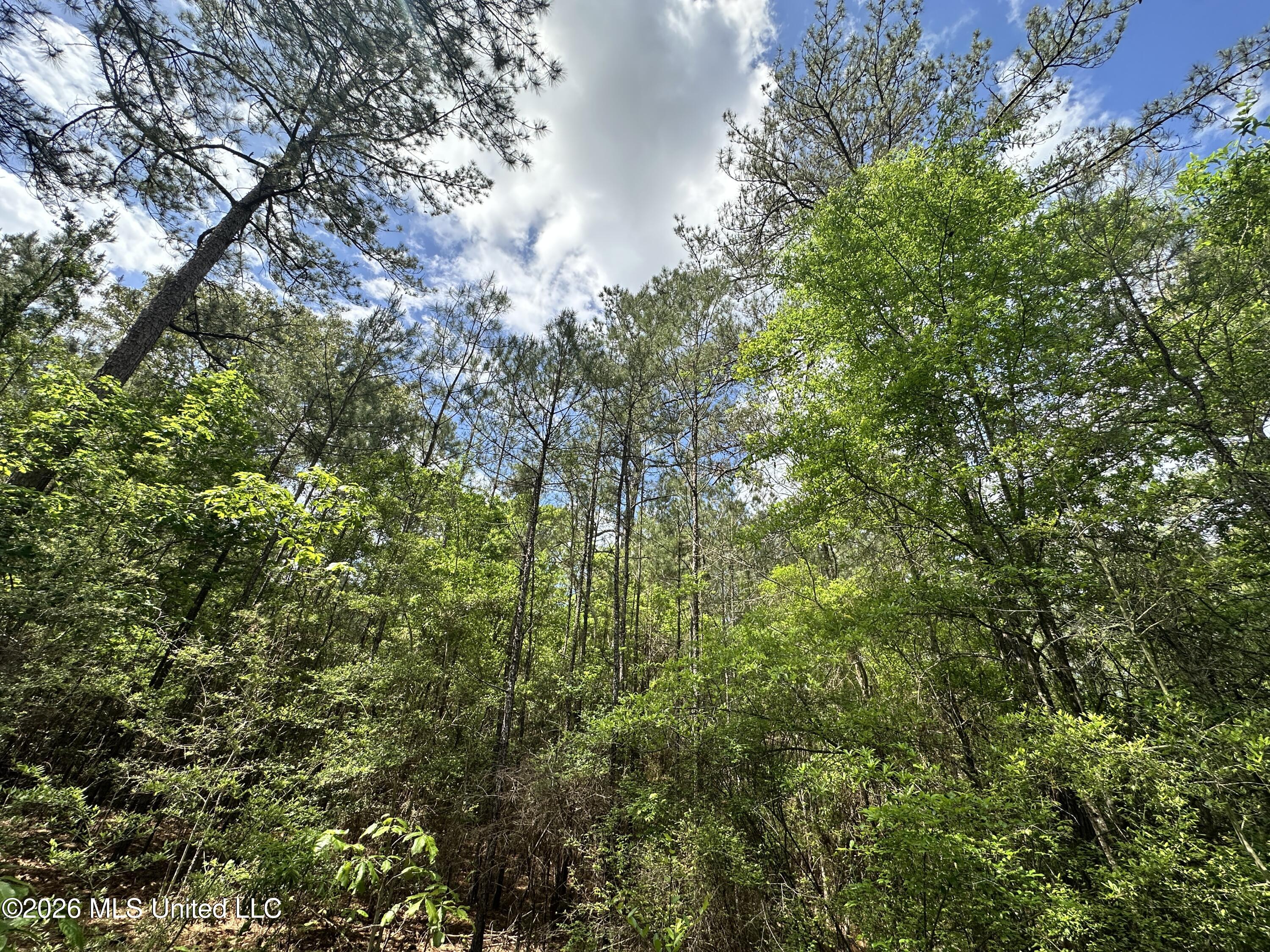 Mccomb Holmesville Road Property Photo 19