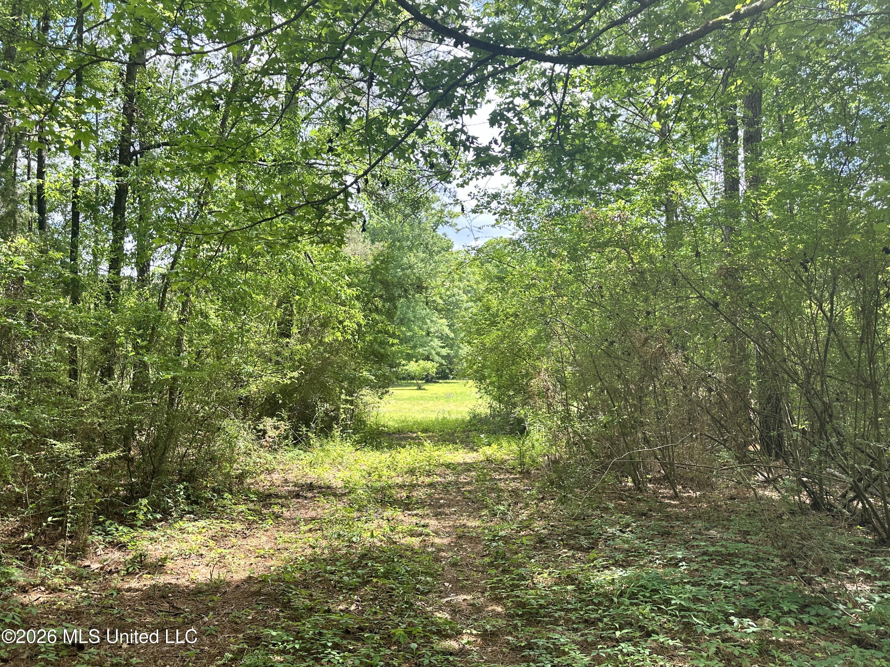 Mccomb Holmesville Road Property Photo 20