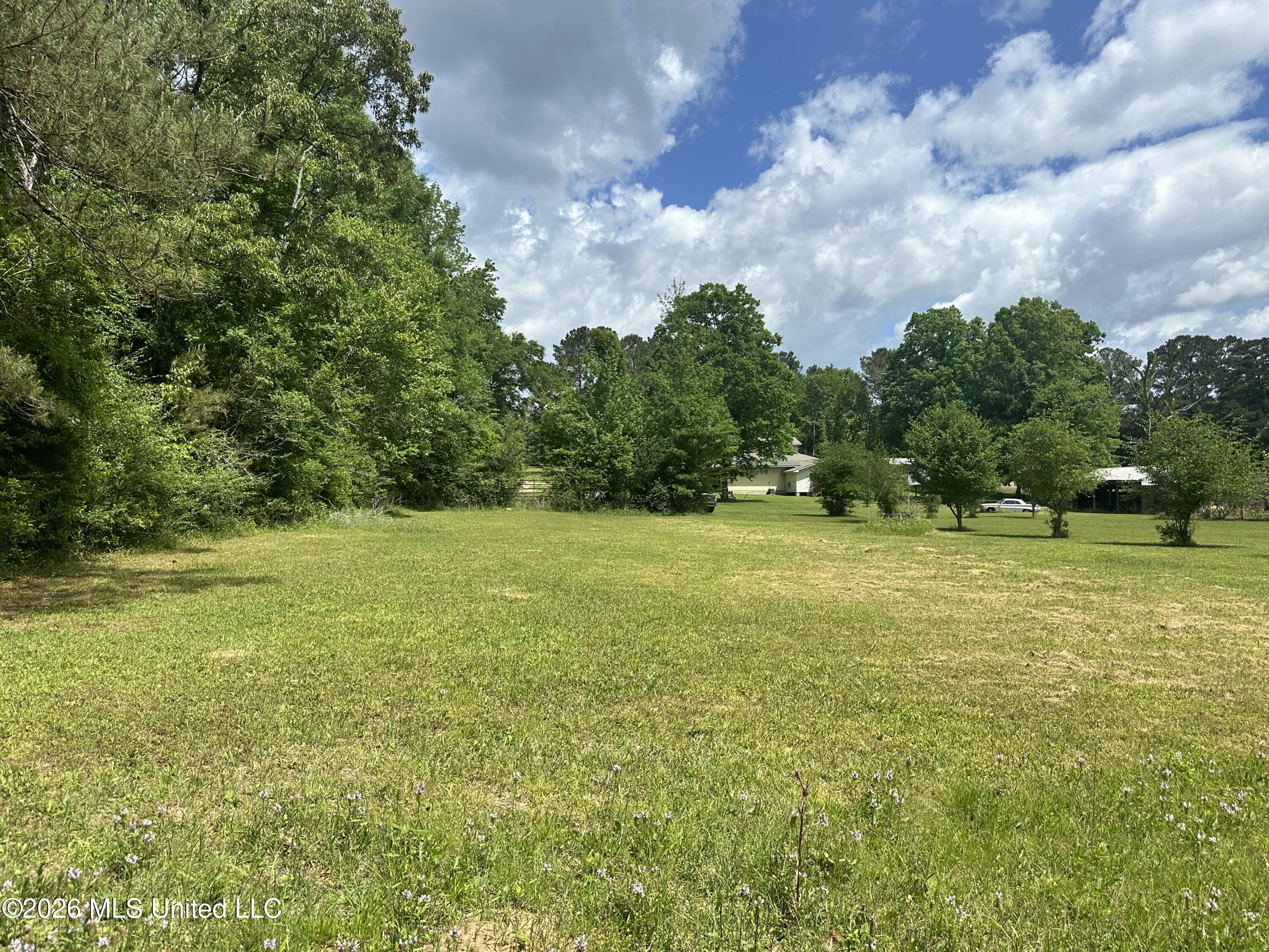 Mccomb Holmesville Road Property Photo 21