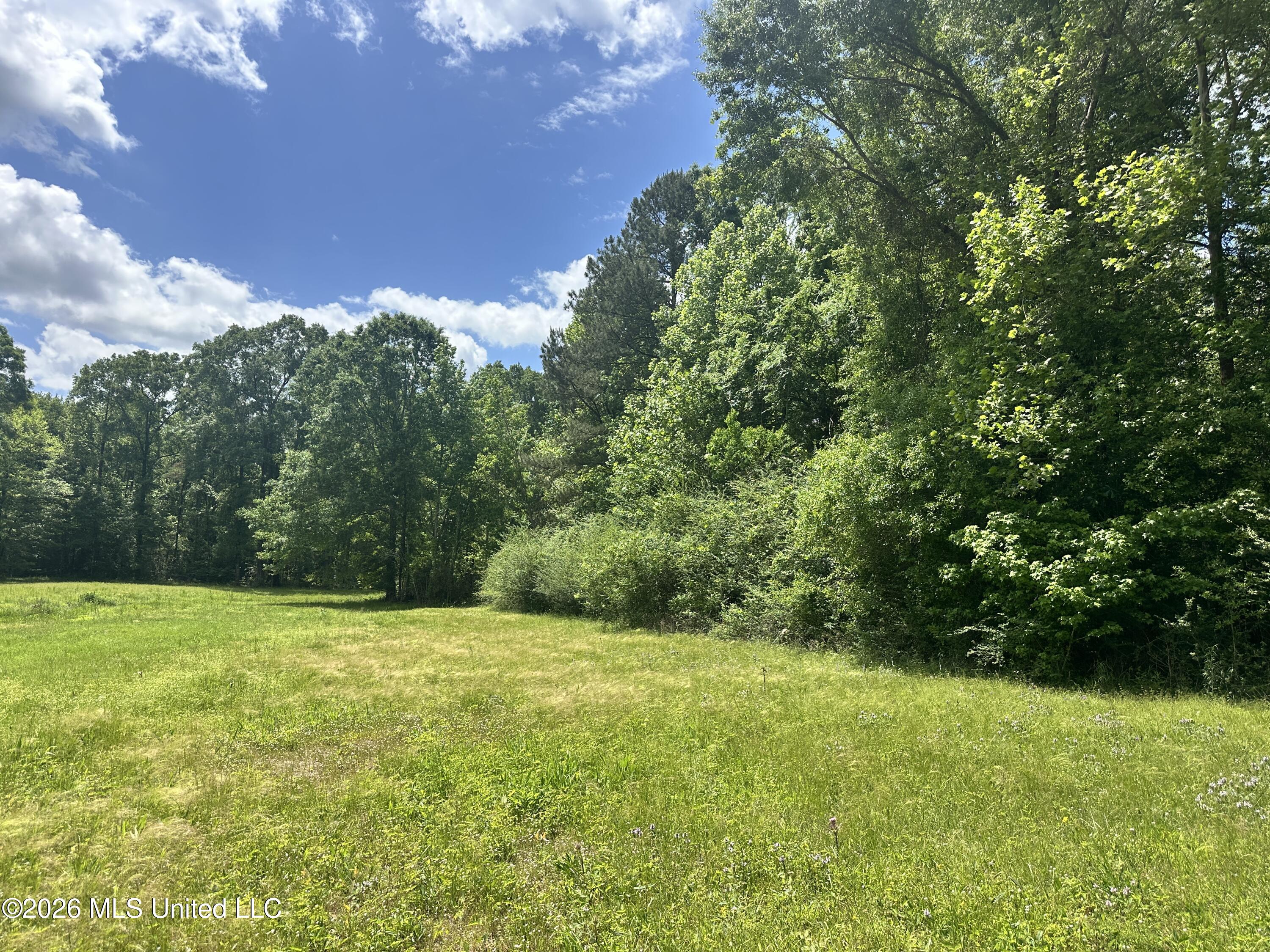 Mccomb Holmesville Road Property Photo 22