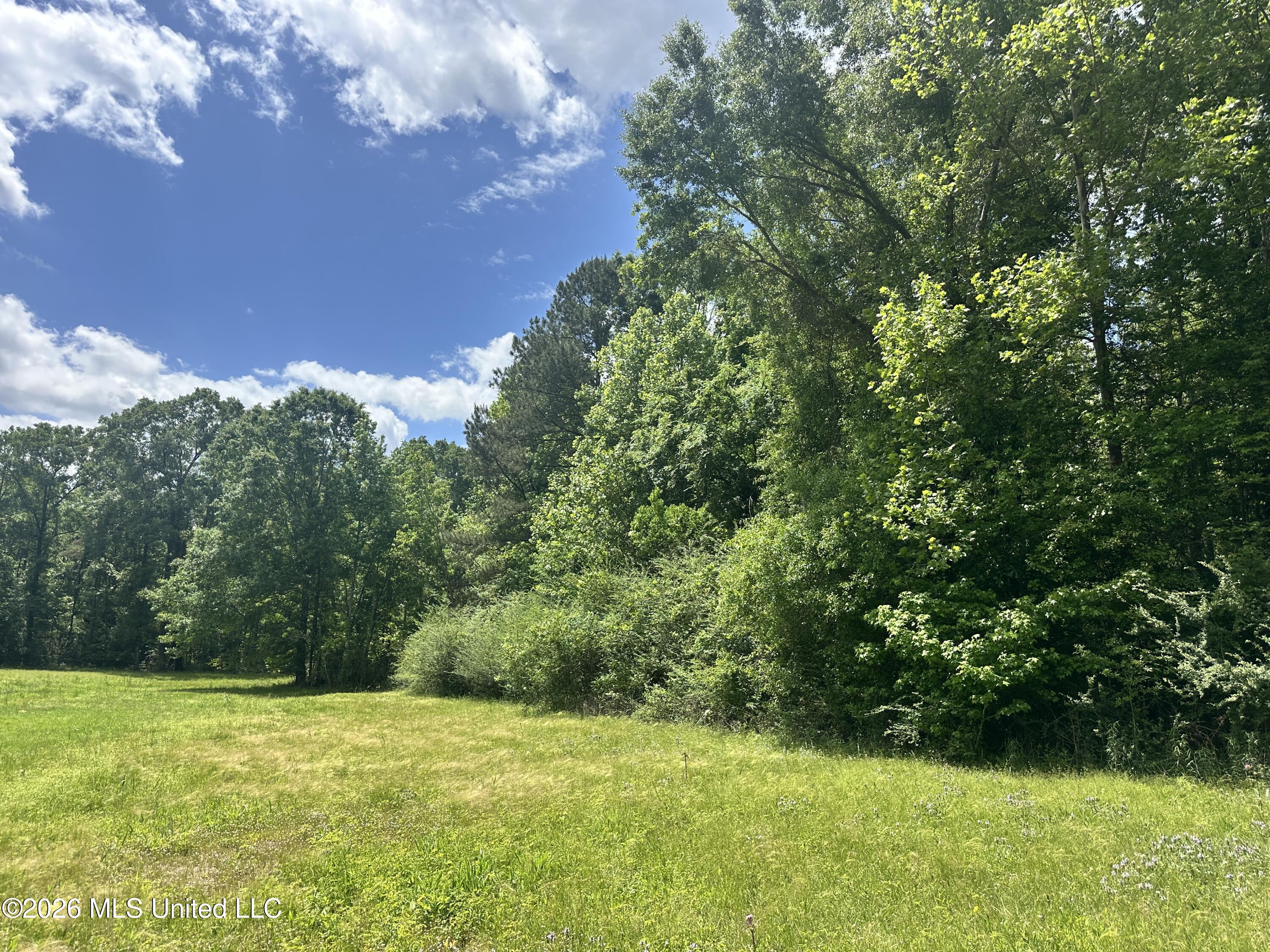 Mccomb Holmesville Road Property Photo 23
