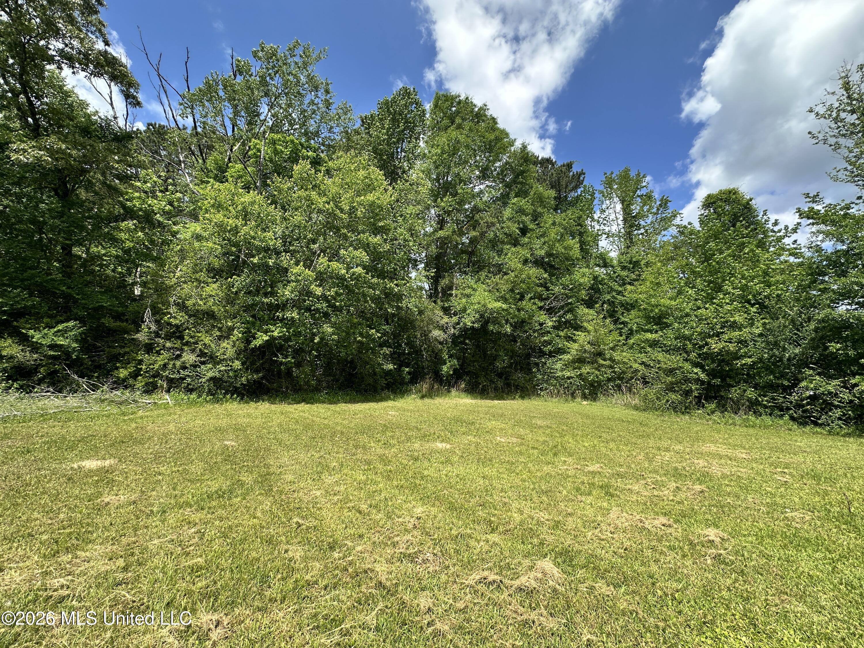 Mccomb Holmesville Road Property Photo 24