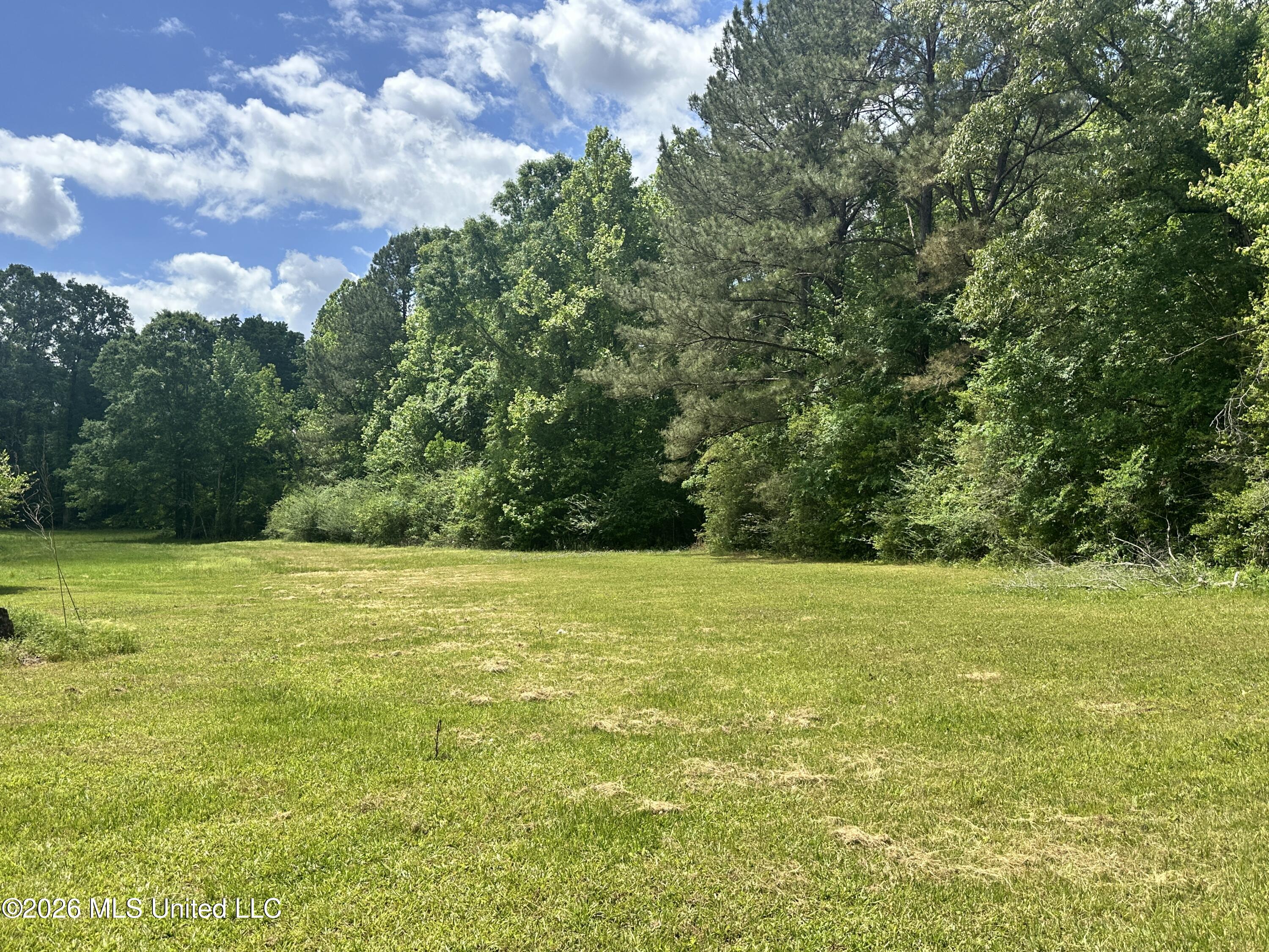 Mccomb Holmesville Road Property Photo 25