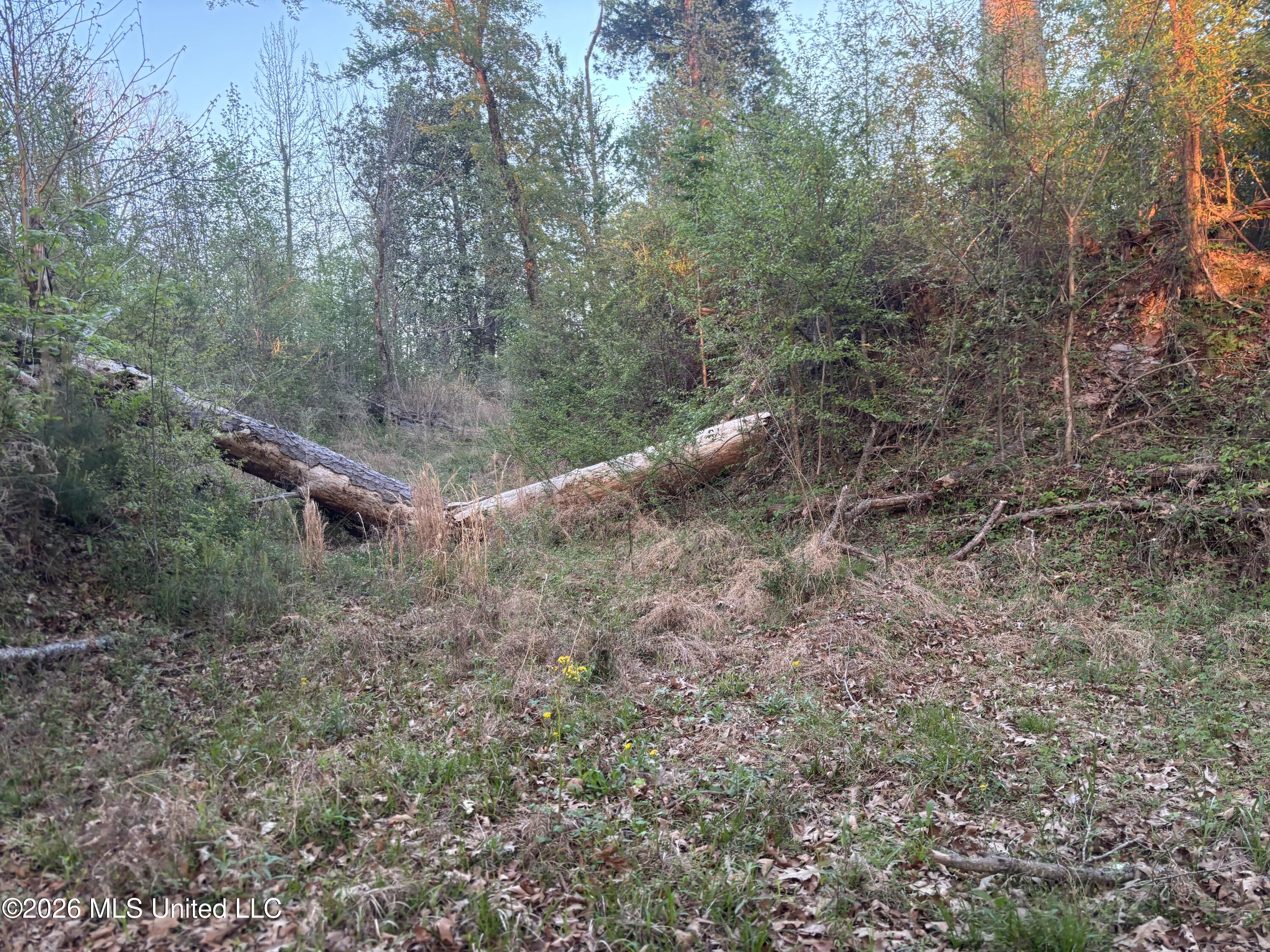 Newman Road Property Photo 13